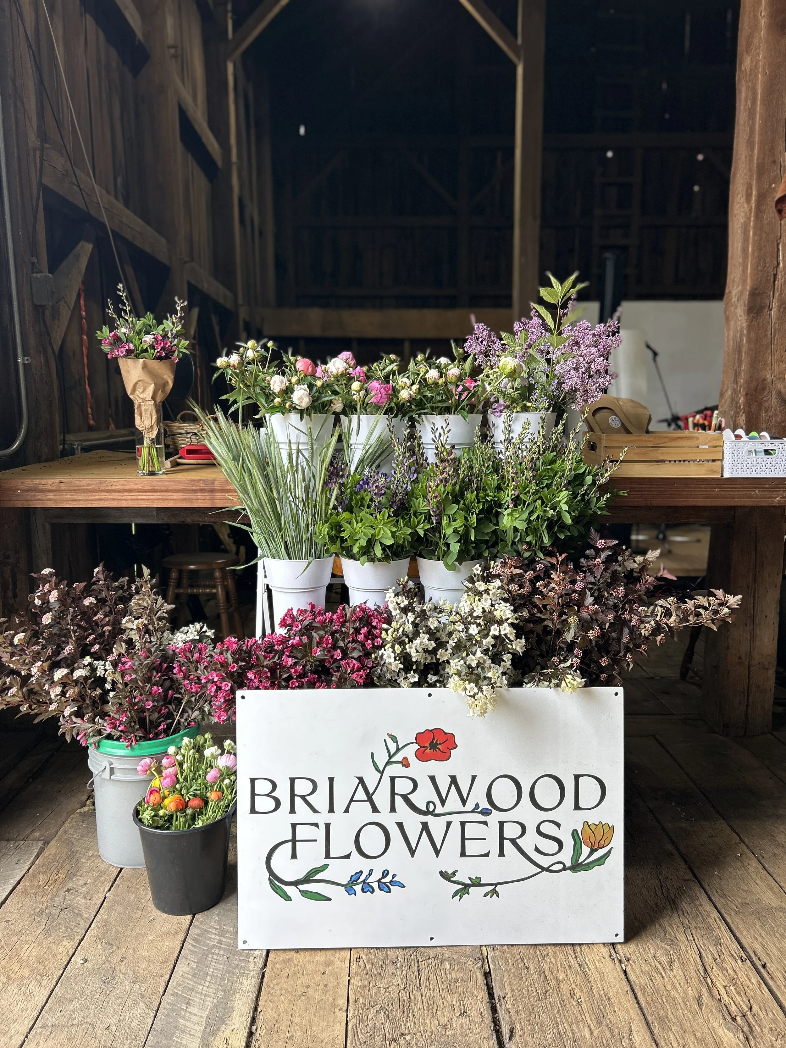 July 26 Yoga + Bloom Bar at Twin Crix