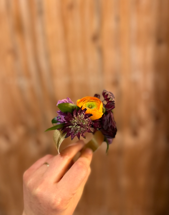 Screenshot 2026-03-07 11.00.39 AM.png