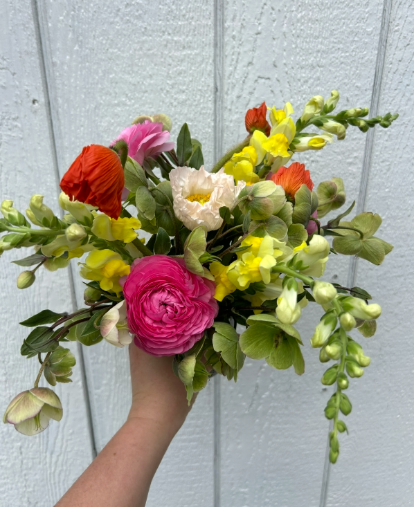 Screenshot 2026-03-07 11.01.58 AM.png