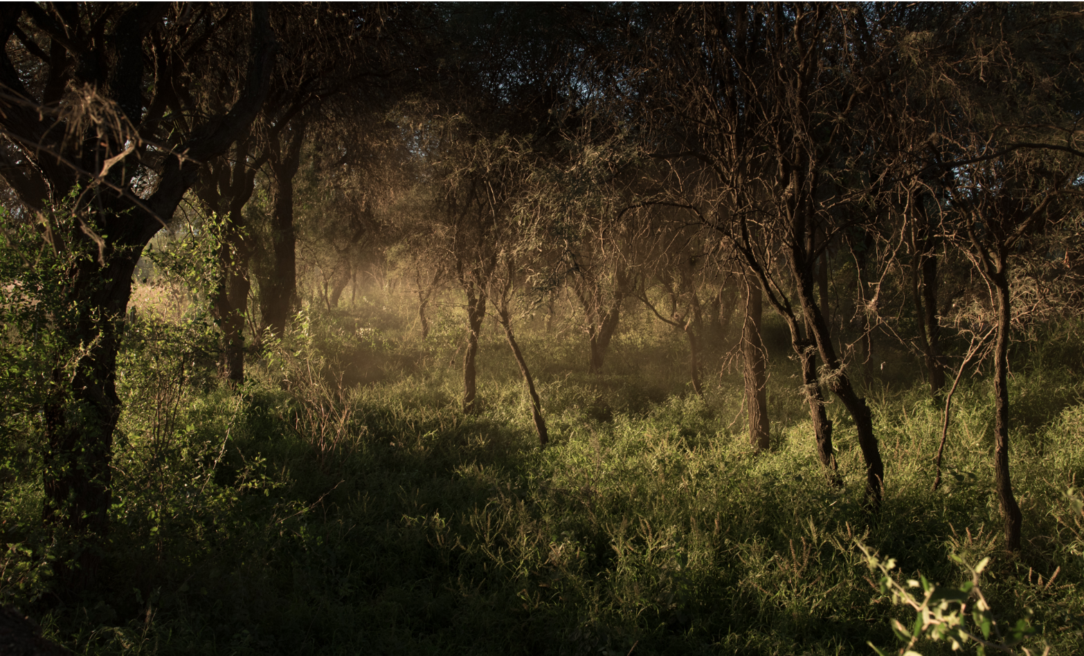 Screen Shot 2018-11-25 at 10.08.01 PM.png