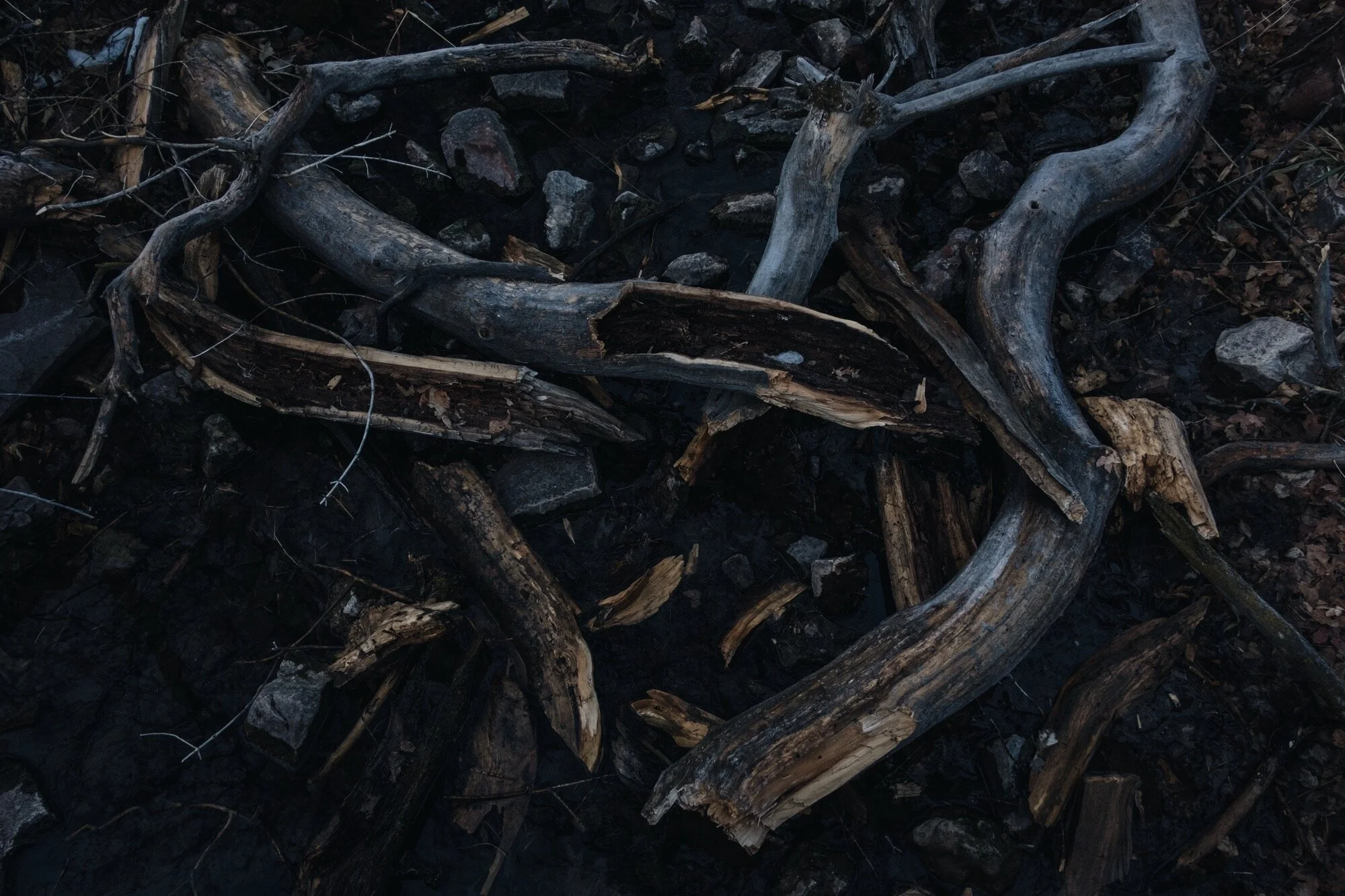 The Darkest Day: The Most Feminine Day