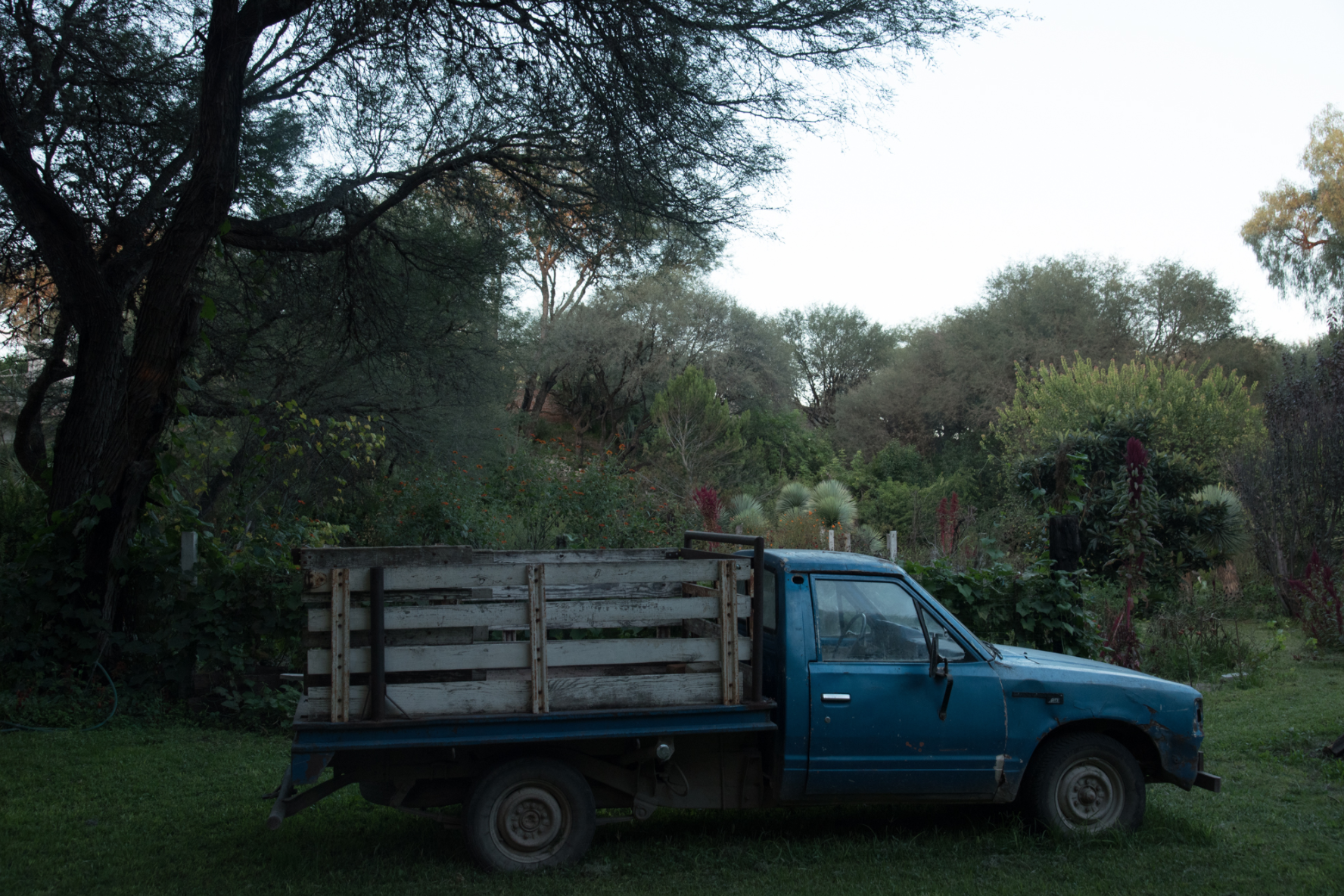 Screen Shot 2020-05-09 at 1.38.12 PM.png