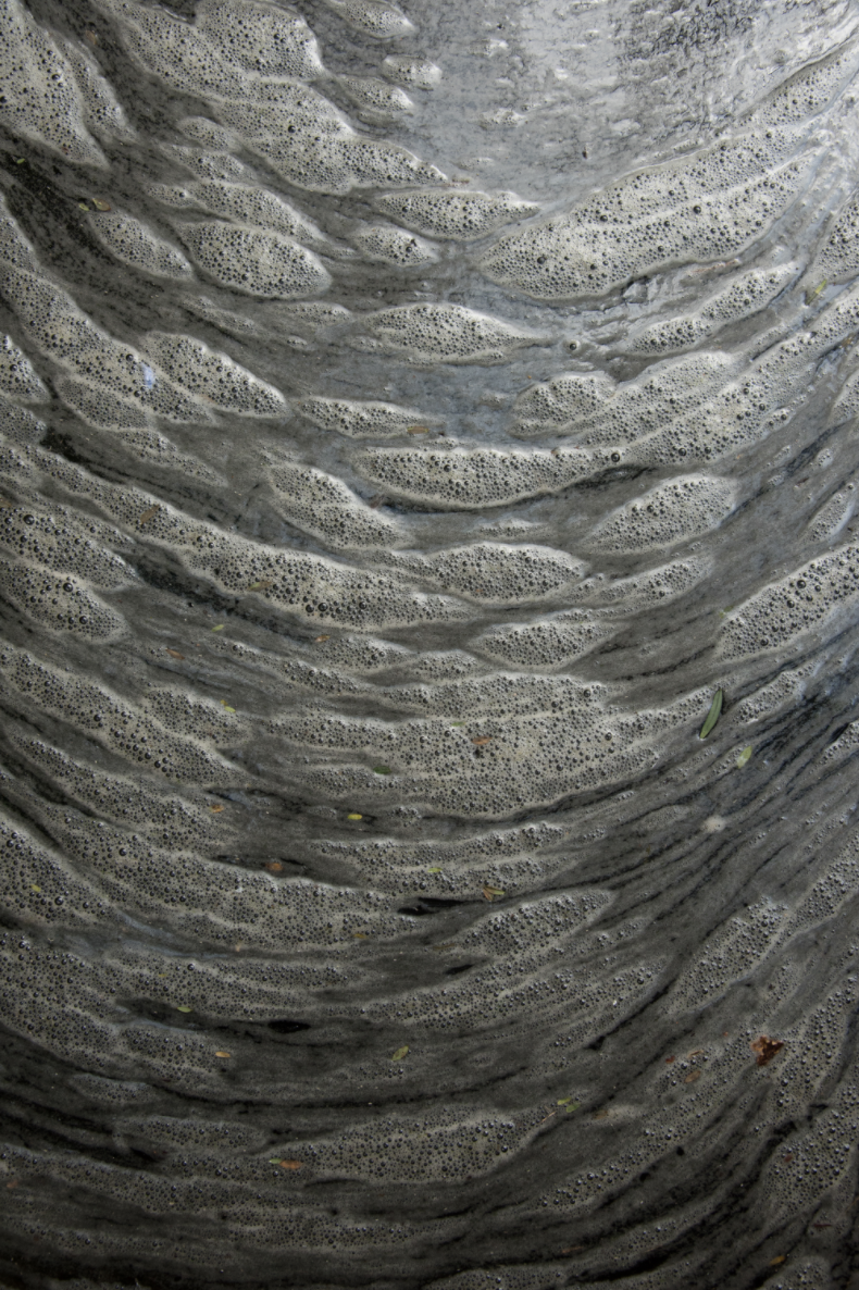 Screen Shot 2020-05-09 at 1.39.17 PM.png