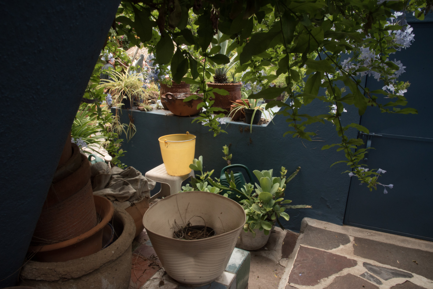 Screen Shot 2020-05-09 at 1.40.31 PM.png