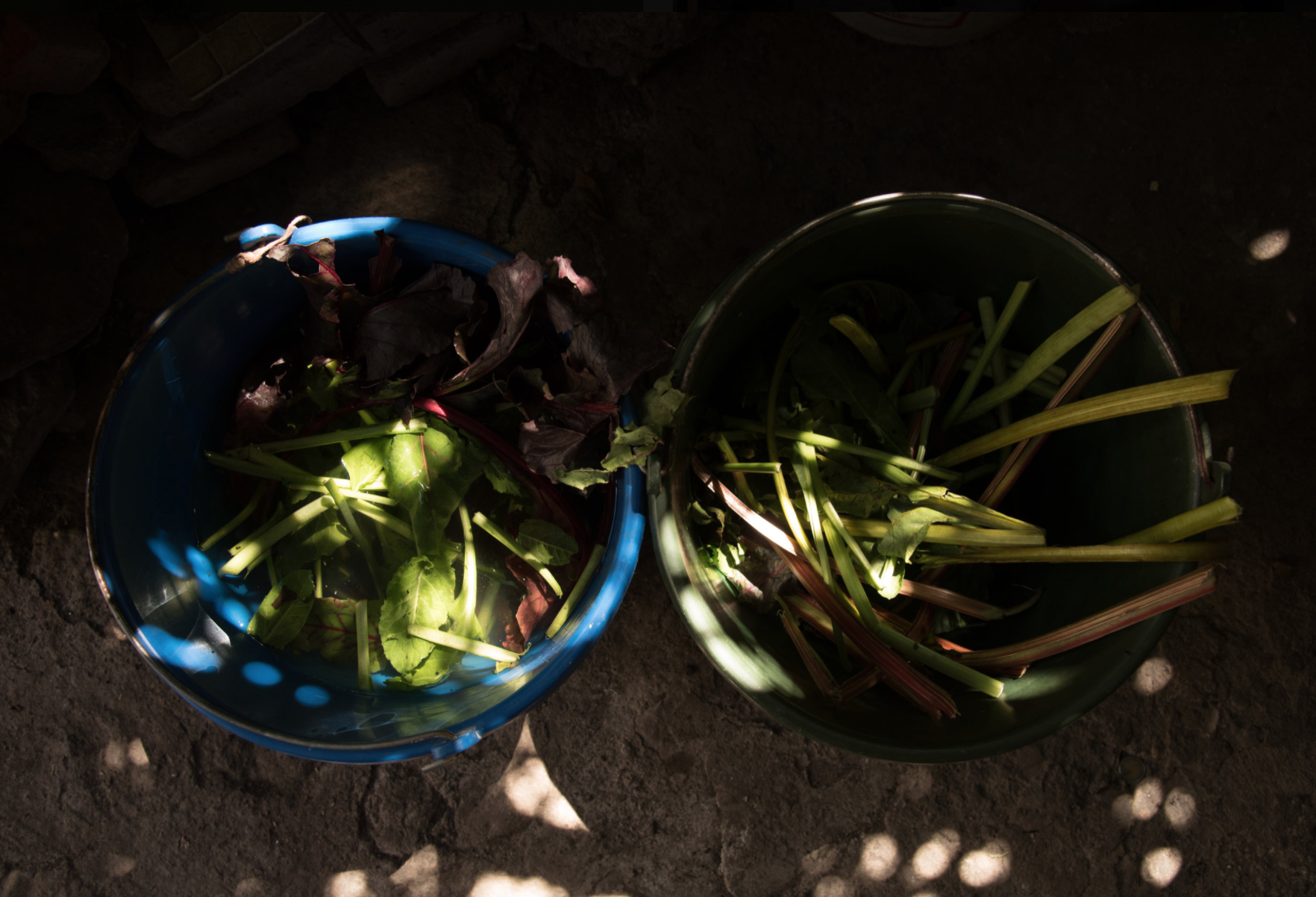 Screen Shot 2020-05-09 at 1.40.58 PM.png