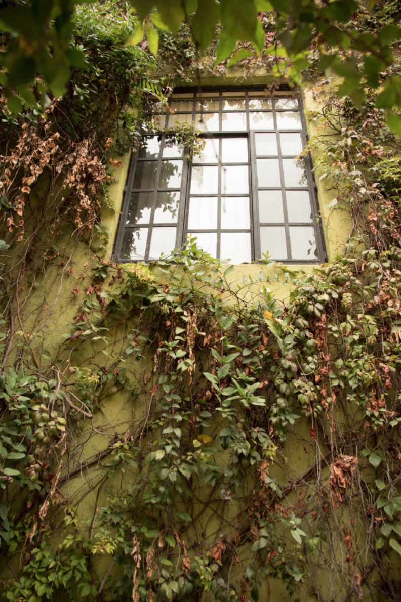 Screen Shot 2020-05-09 at 1.41.20 PM.png