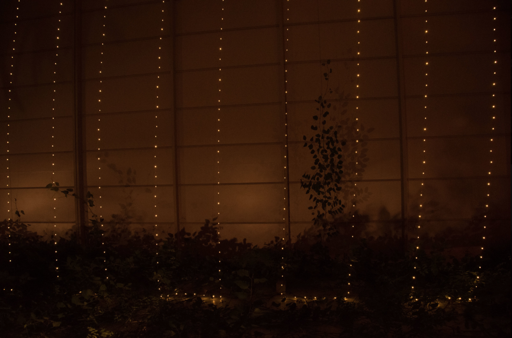 Screen Shot 2020-05-09 at 1.41.39 PM.png