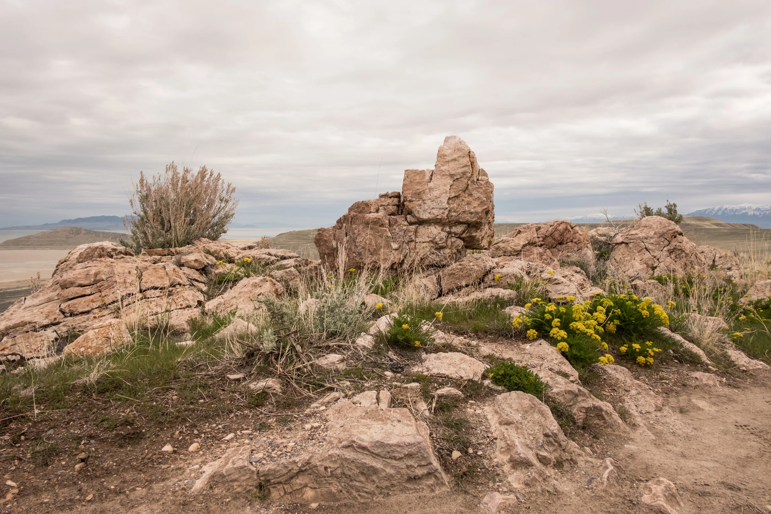 AMV AntelopeIsland_013.jpg