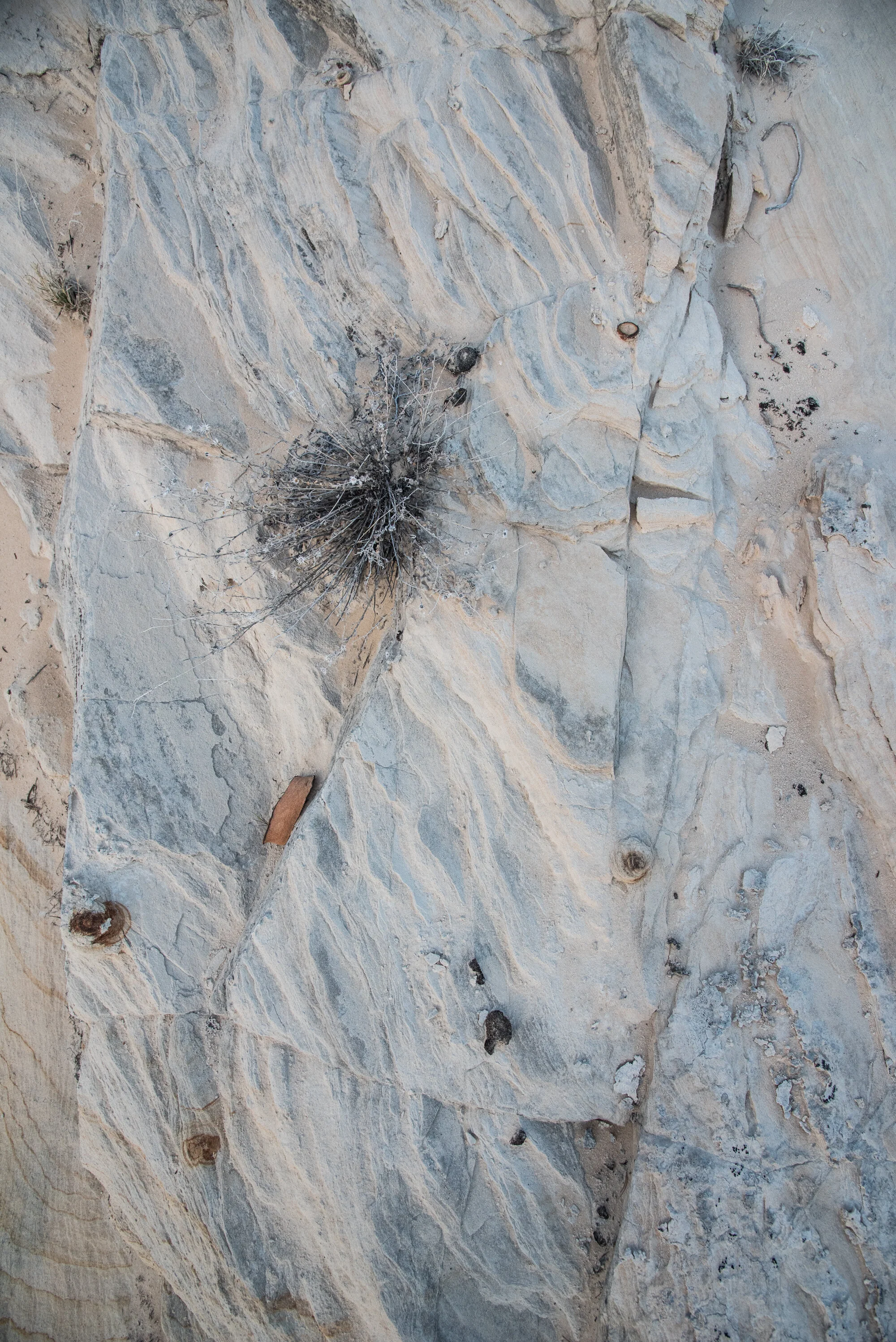 desert with om-7357.jpg