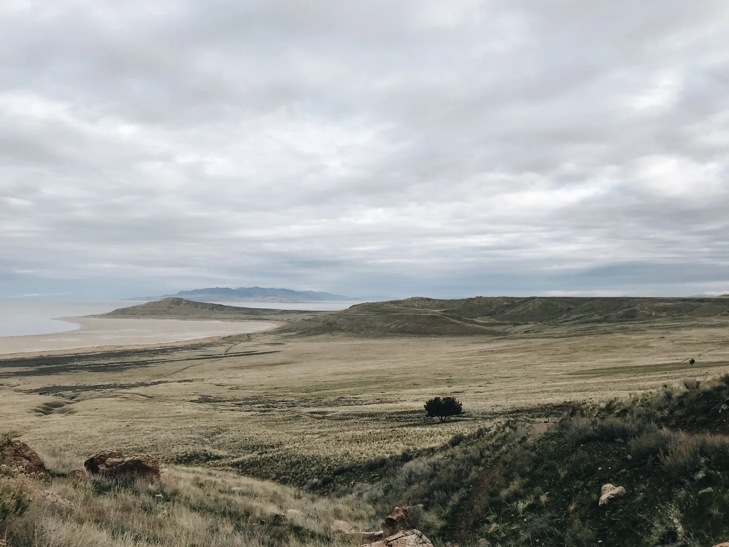 Antelope Island 2 Spring 2019.jpeg