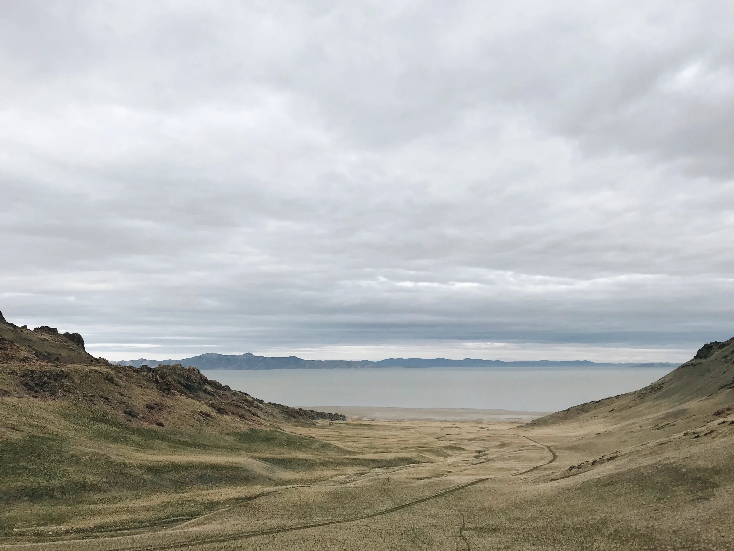Antelope Island Spring 2019.jpeg