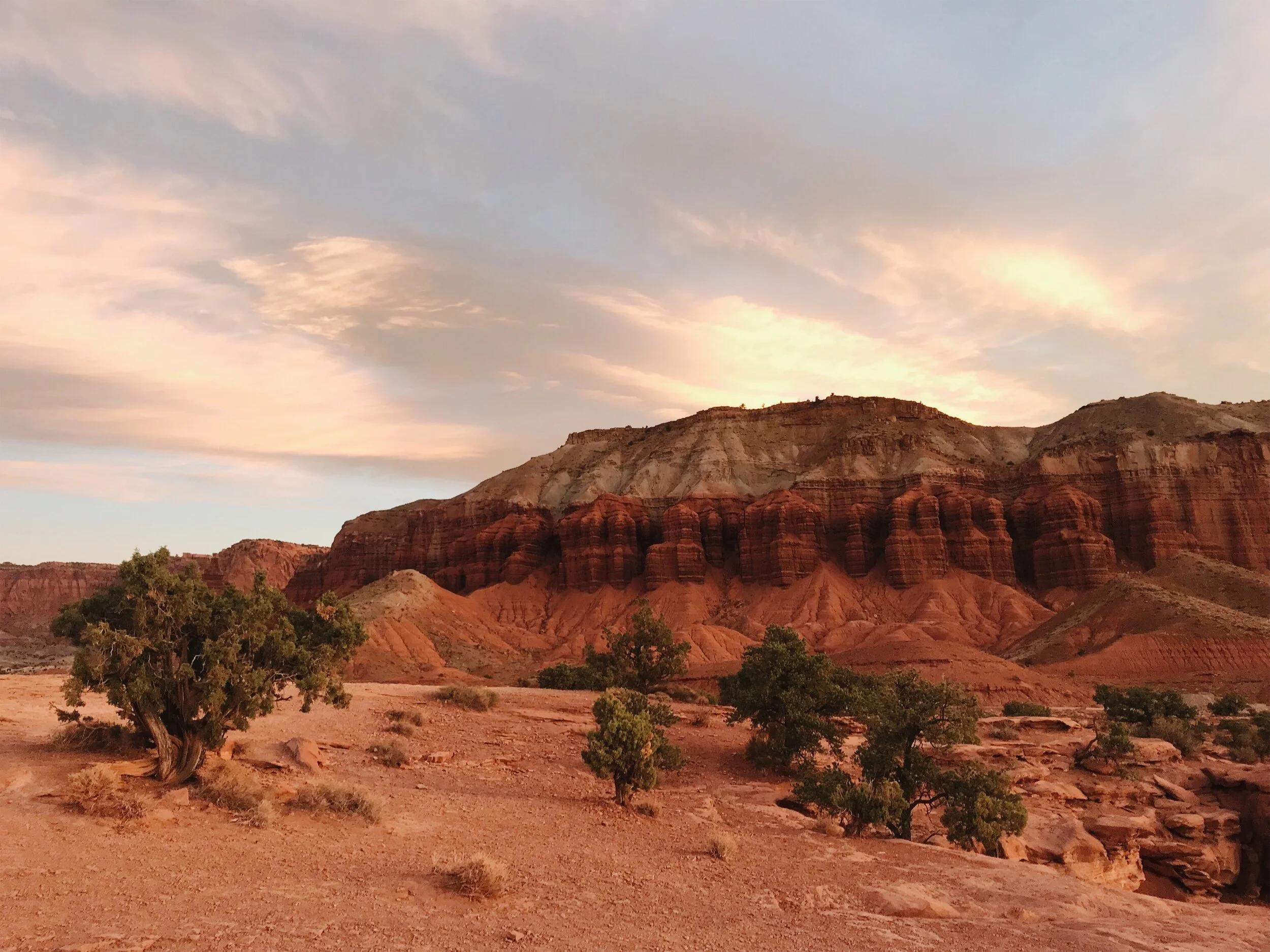 Capitol Reef Juniper Trees & Cliffs Autumn 2018.jpeg