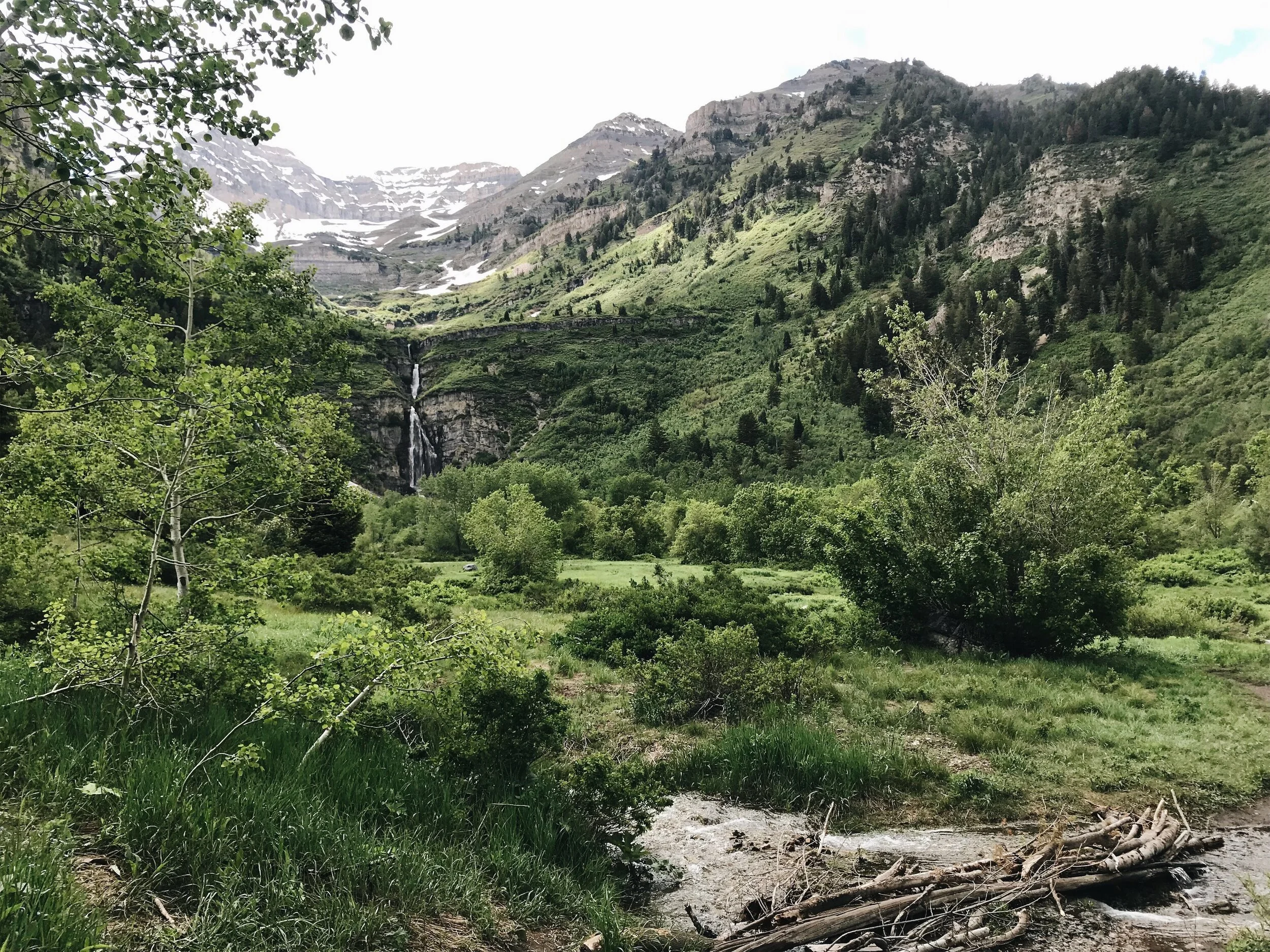 Timpanogos Meadow 2 Spring 2019.jpeg