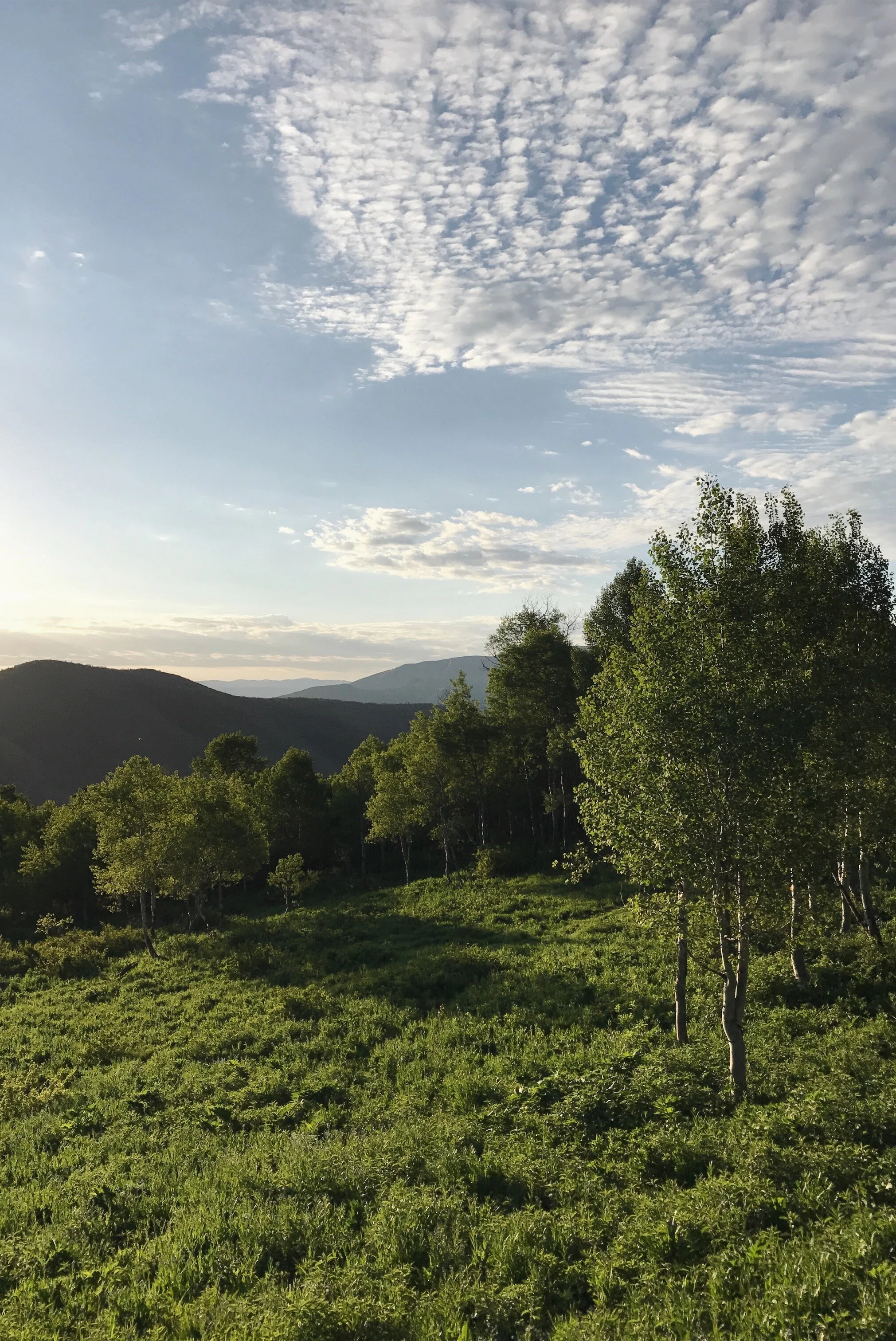 Sundance Trail Aspen View Spring 2018.jpeg