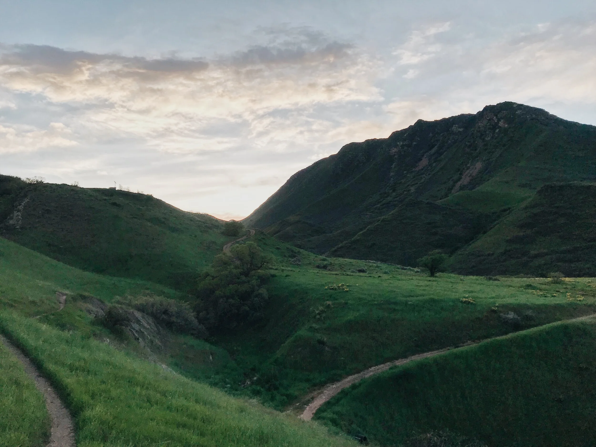 Foothills Paradise Spring 2019.jpeg