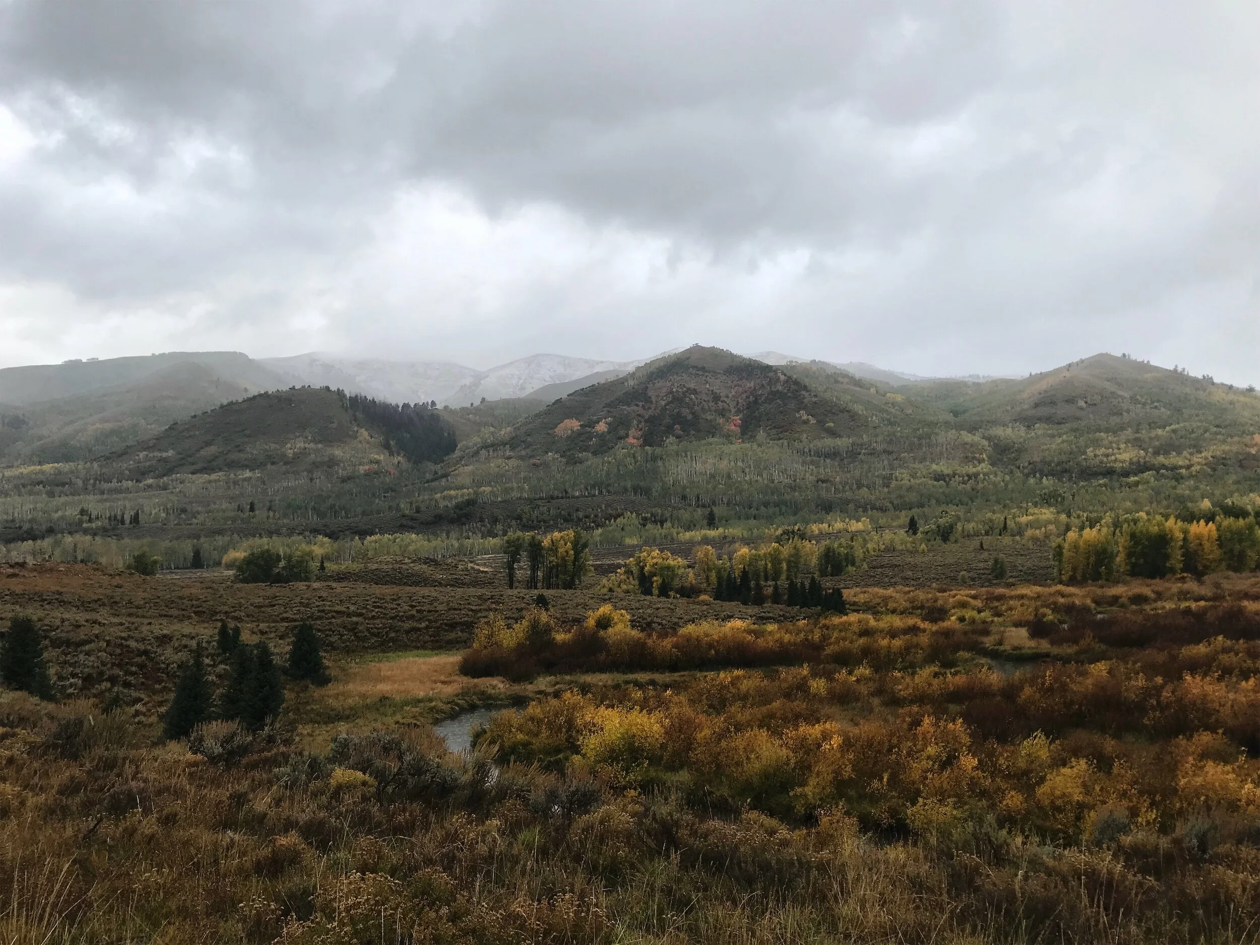 Autumn_Weber_River_2019_AMV.jpeg