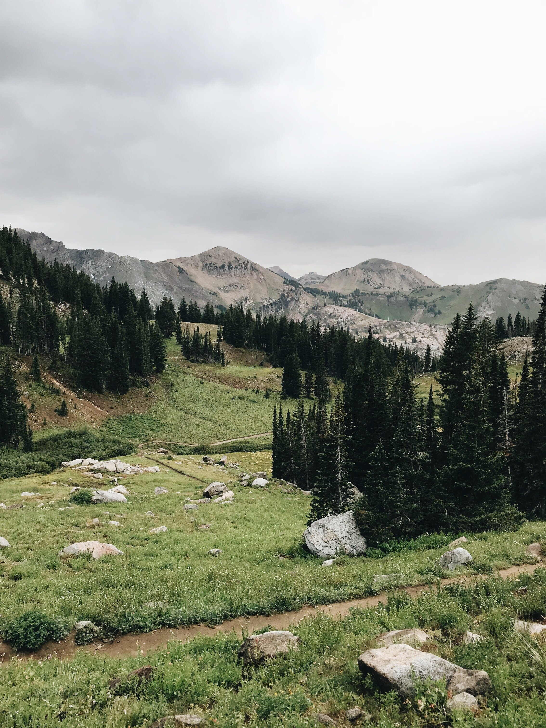 Catharines Pass Trail Fall 2019.jpeg