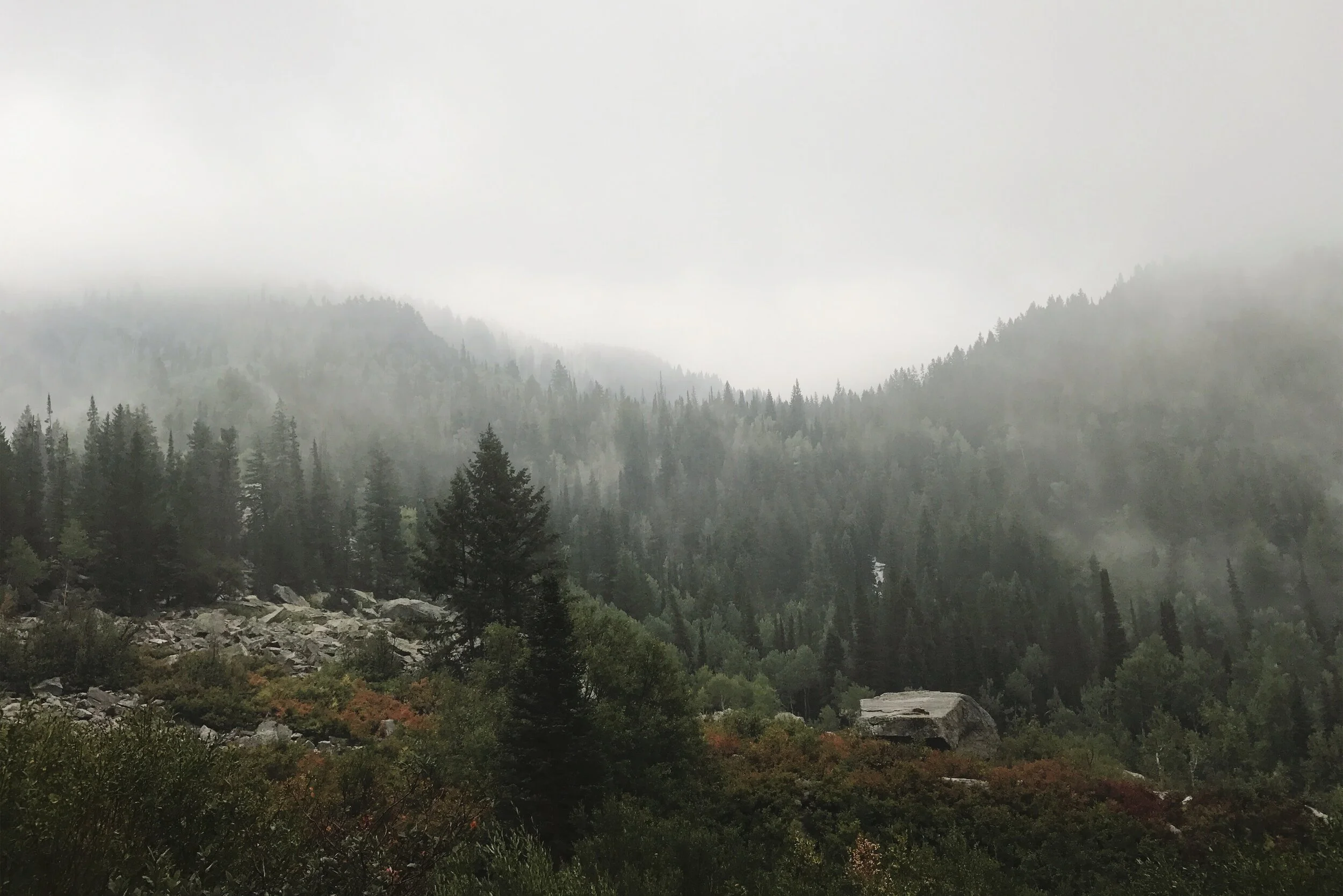 LCC Clouds & Fog Autumn 2018.jpeg