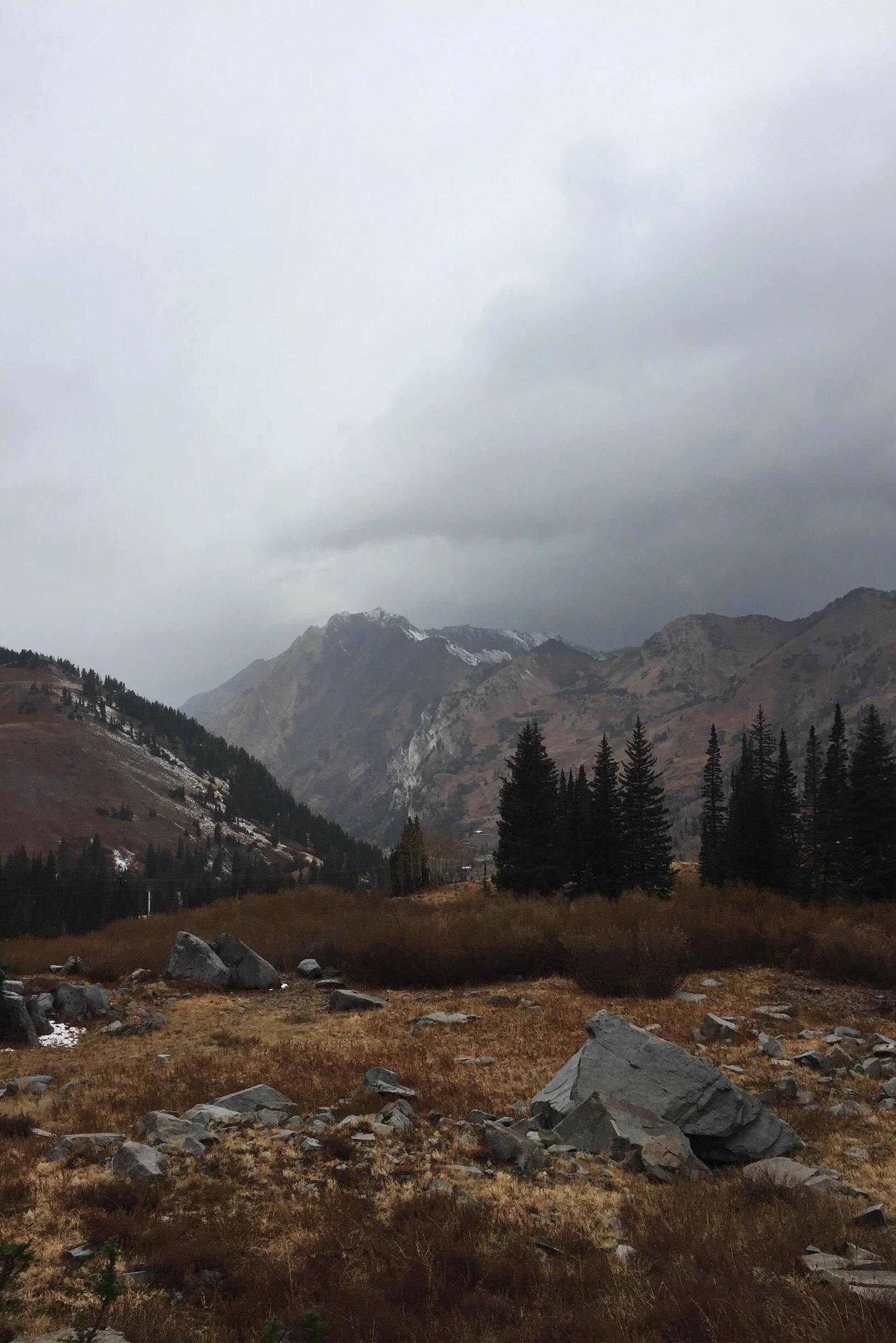 Superior View Autumn 2016.jpeg