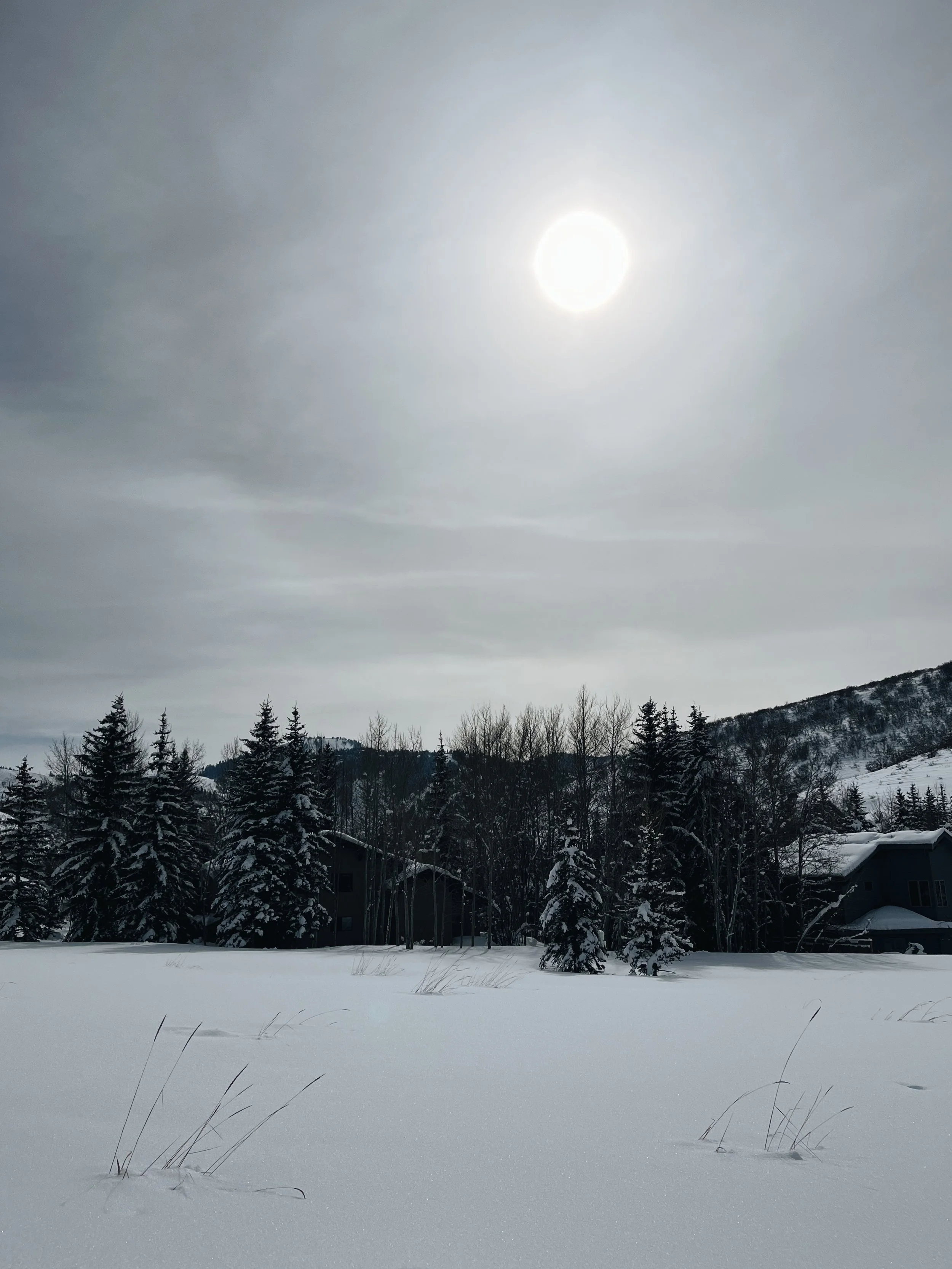 Strange Warmth With Grey Sky