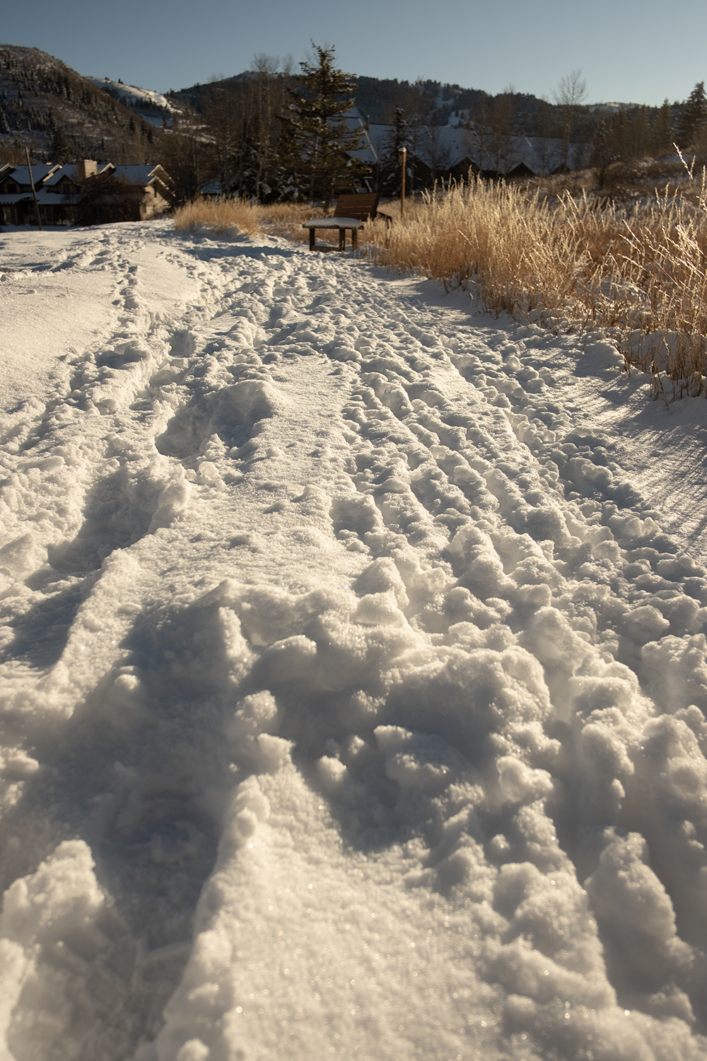 Snow Is Not Snow