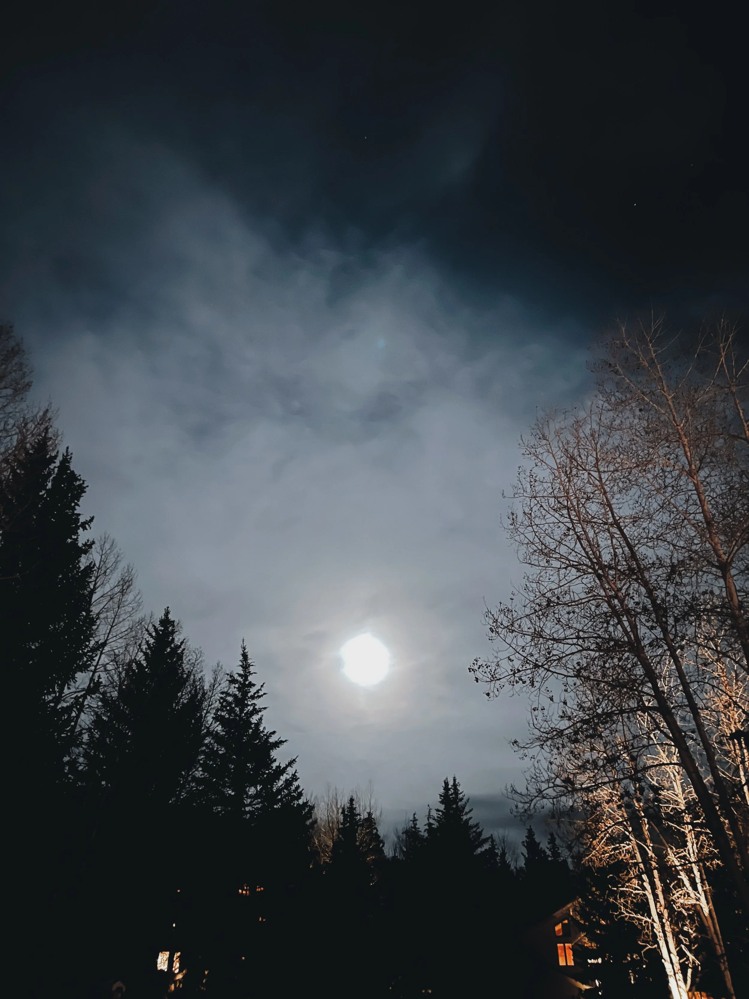 Birdsong Sunrise and Full Moon Owl