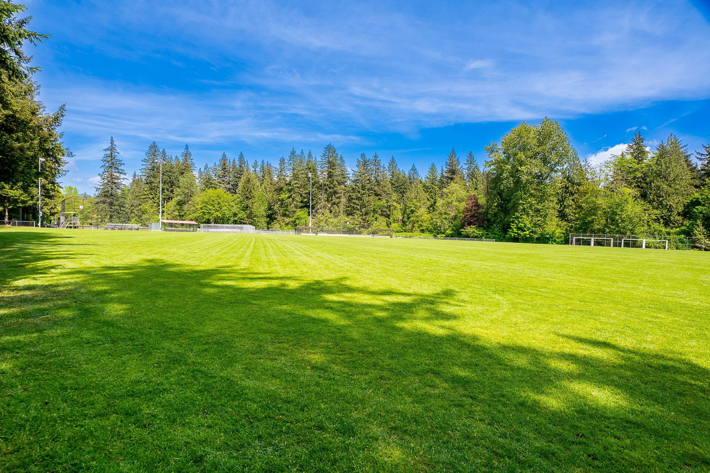 612-Hillcrest-Street-Coquitlam-Carolyn-Pogue-Best-Coquitlam-Realtor-32.jpg