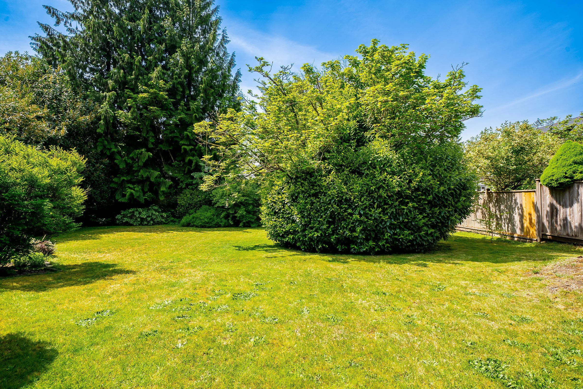 612 Hillcrest Street Coquitlam Carolyn Pogue Best Coquitlam Realtor