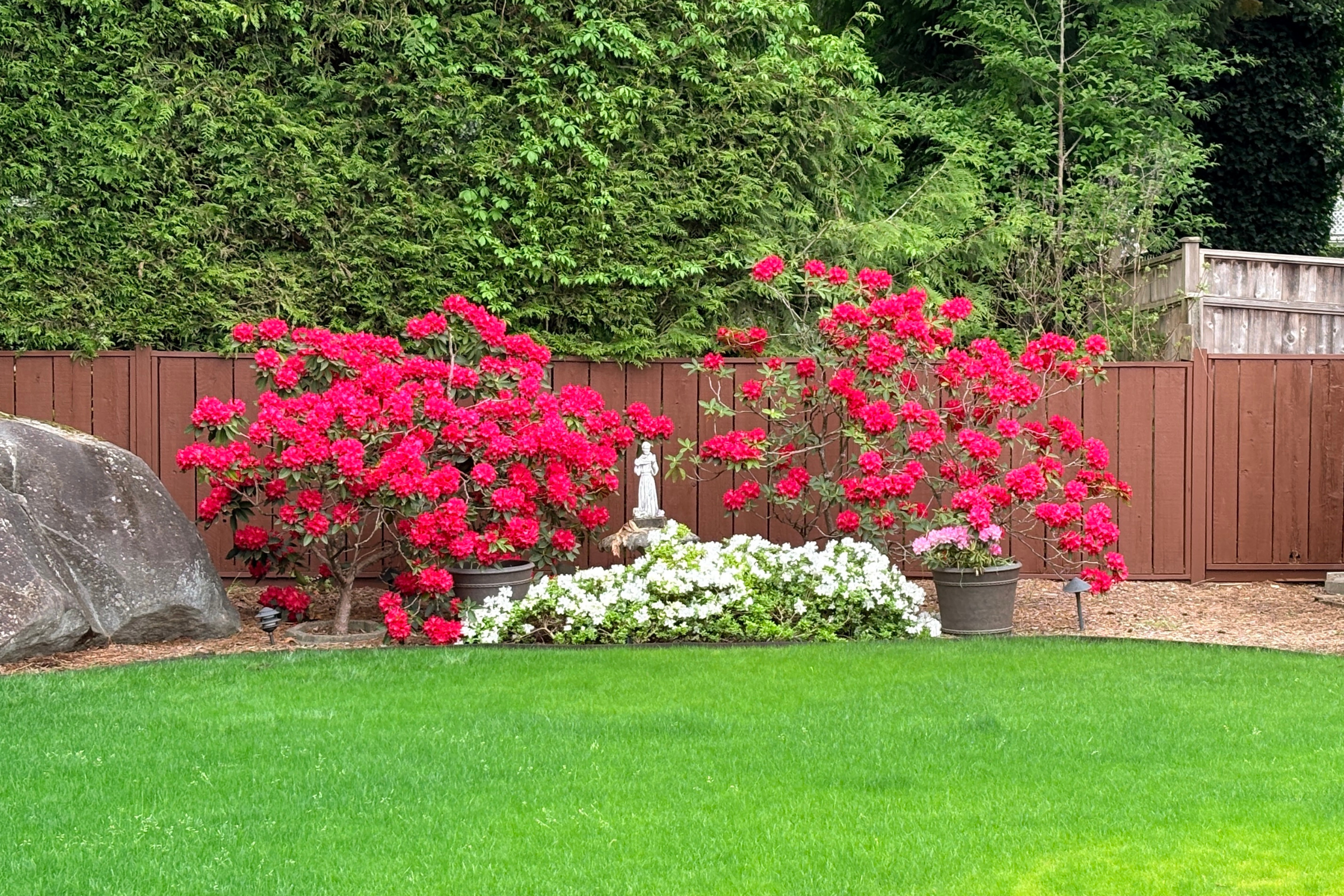 259-College-Park-Way-Port-Moody-Carolyn-Pogue-Best-Port-Moody-Realtor-33.png