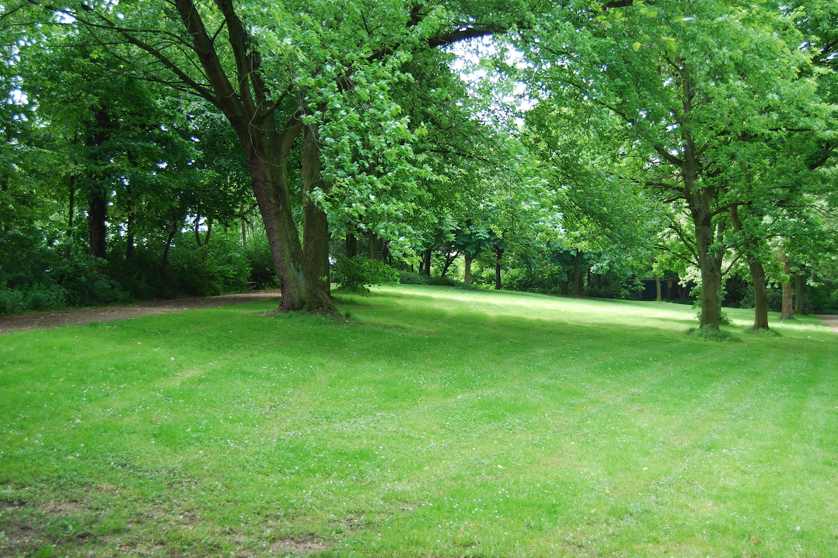 Art Wilkinson Park | Port Moody