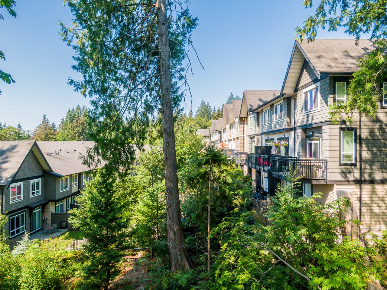 Burke-Mountain-Townhome-23-1305-Soball-Street-Coquitlam-Carolyn-Pogue-Best-Port-Moody-Realtor-Remax-52.jpg