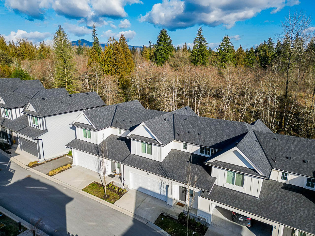 34-11272-240-Street-Carolyn-Pogue-Remax-Burke-Mountain-Realtor-Top-Port-Moody-Real-Estate-Agent-drone-2.jpg