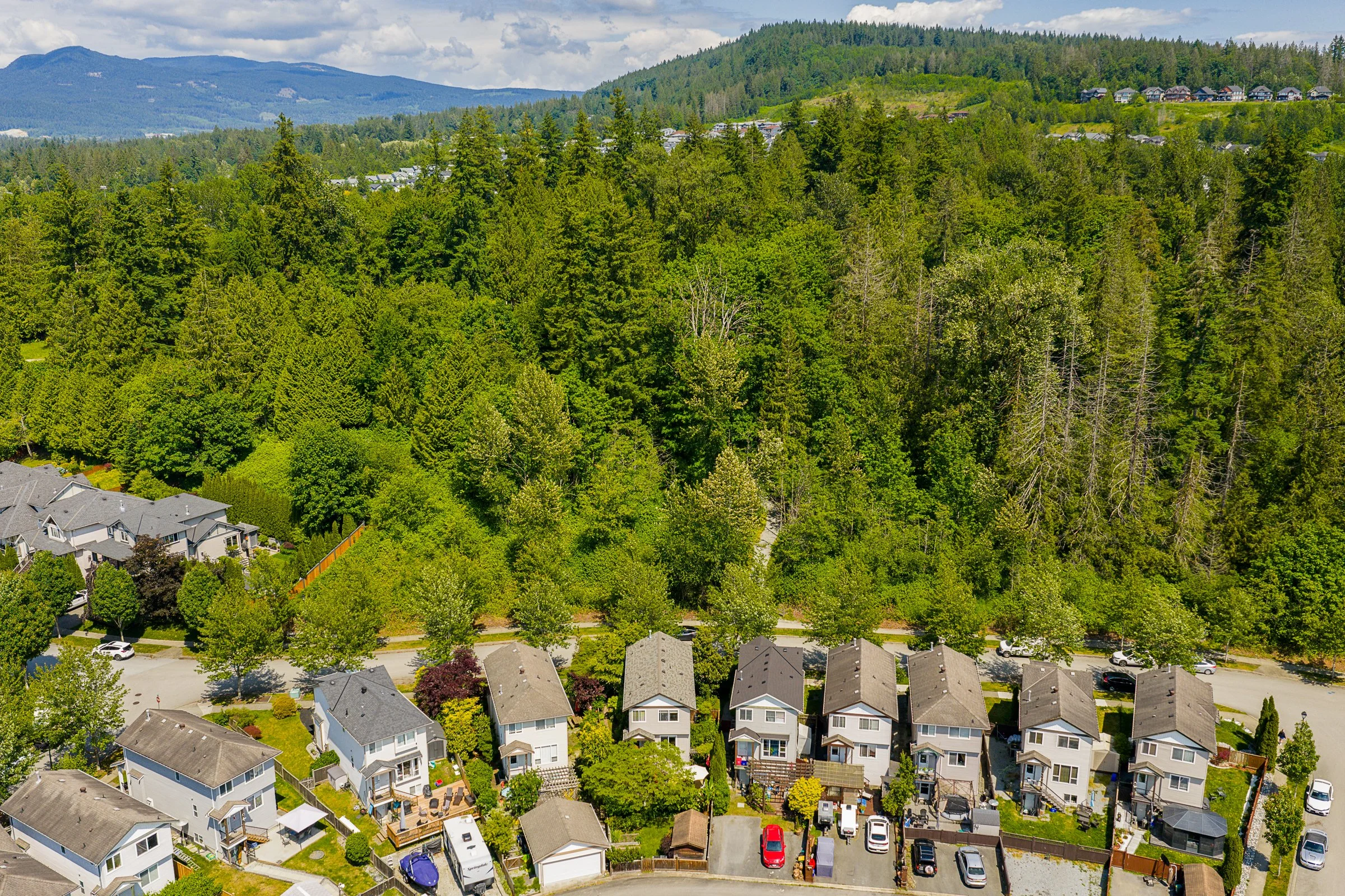 10281-244-Street-Maple-Ridge-Carolyn-Pogue-Maple-Ridge-Realtor-49.jpg