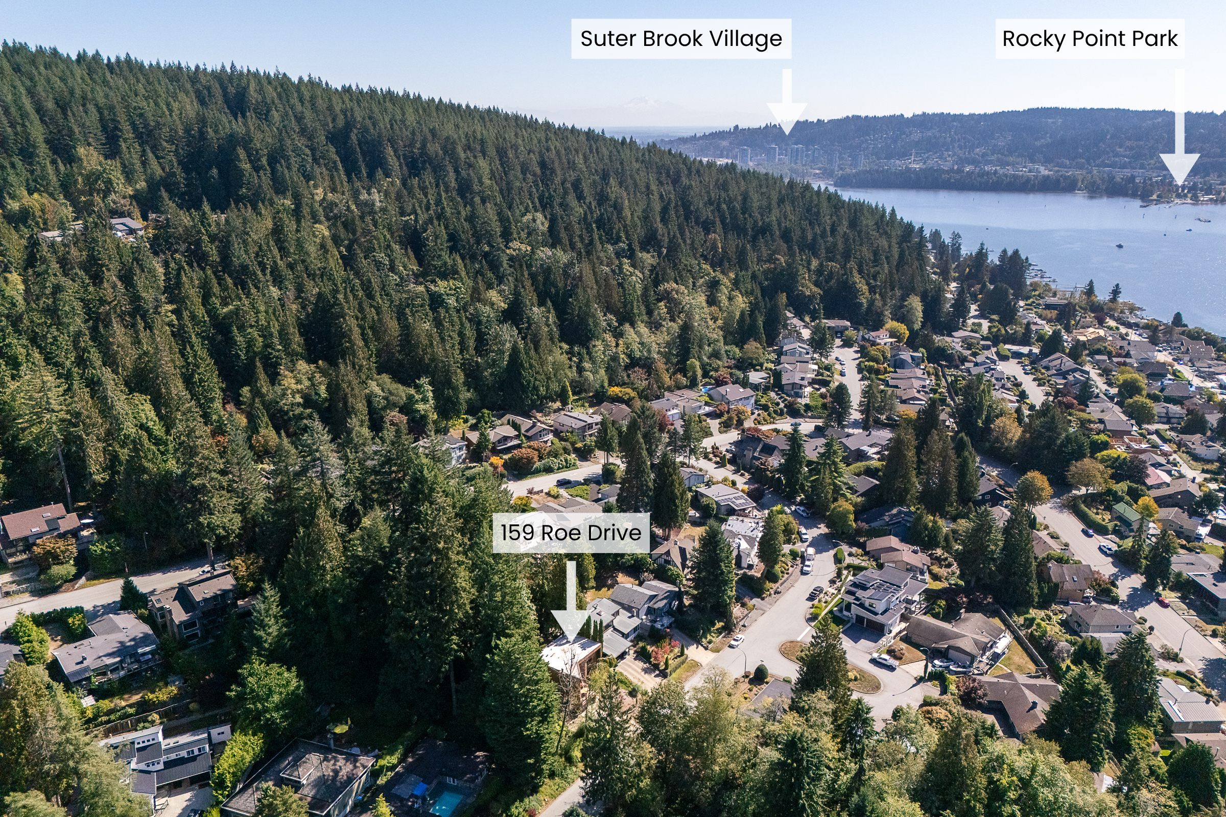 159-Roe-Drive-Port-Moody-Carolyn-Pogue-Best-Port-Moody-Realtor-35.png