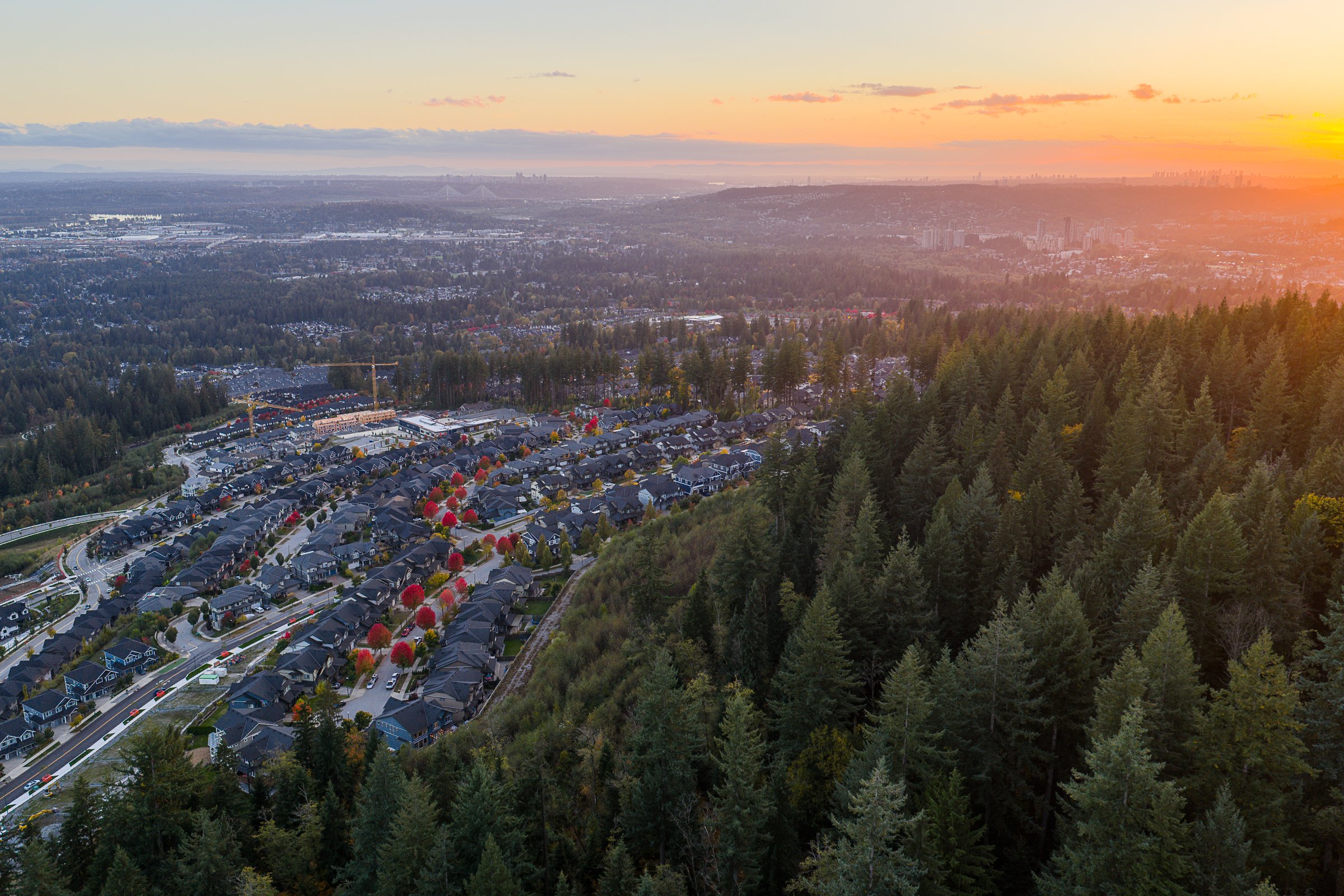 March 2026 Coquitlam Real Estate Market Stats Carolyn Pogue Best Coquitlam Realtor