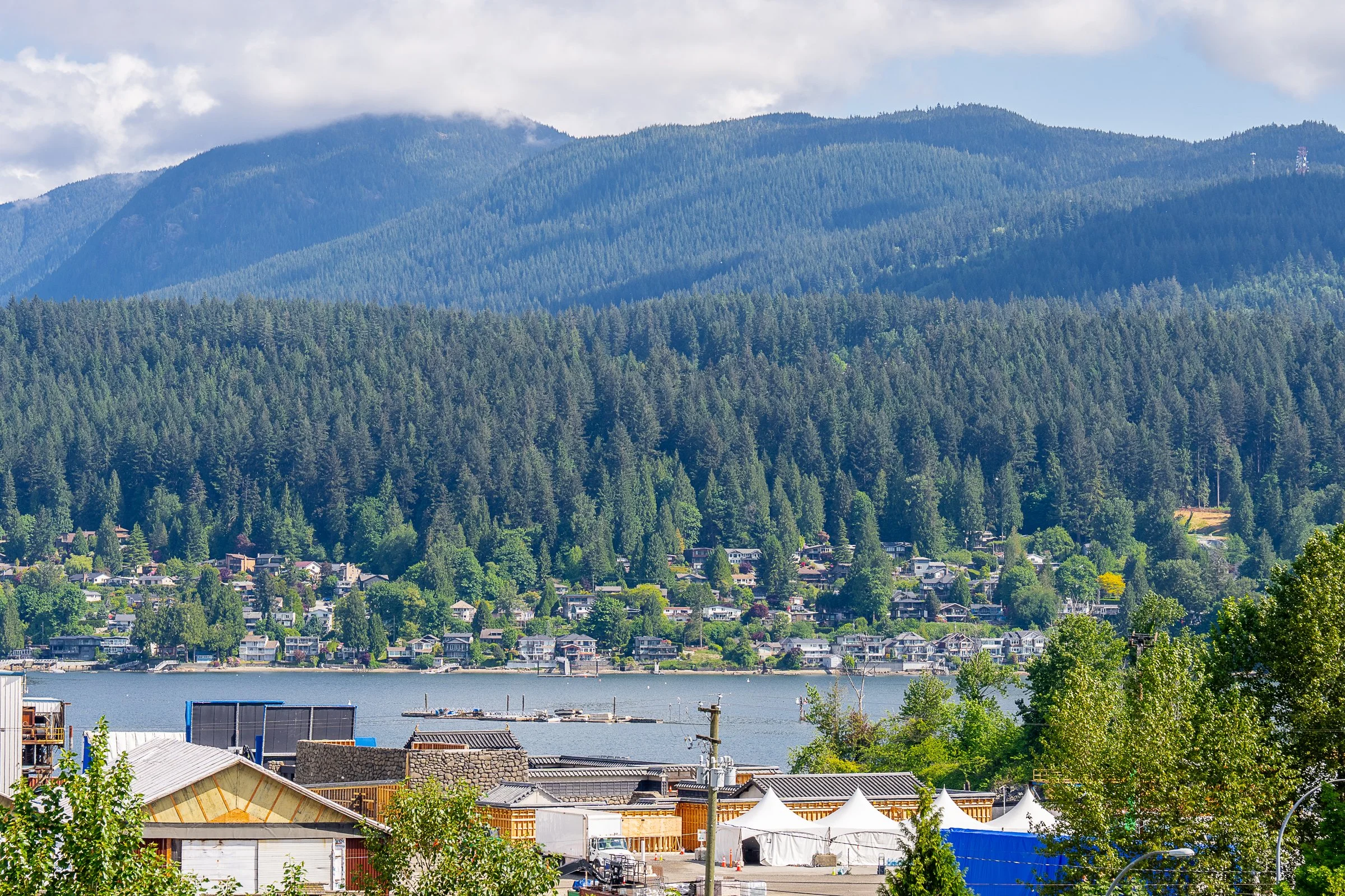 414-2525-Clarke-Street-Port-Moody-The-Strand-Carolyn-Pogue-Best-Port-Moody-Realtor-16.jpg