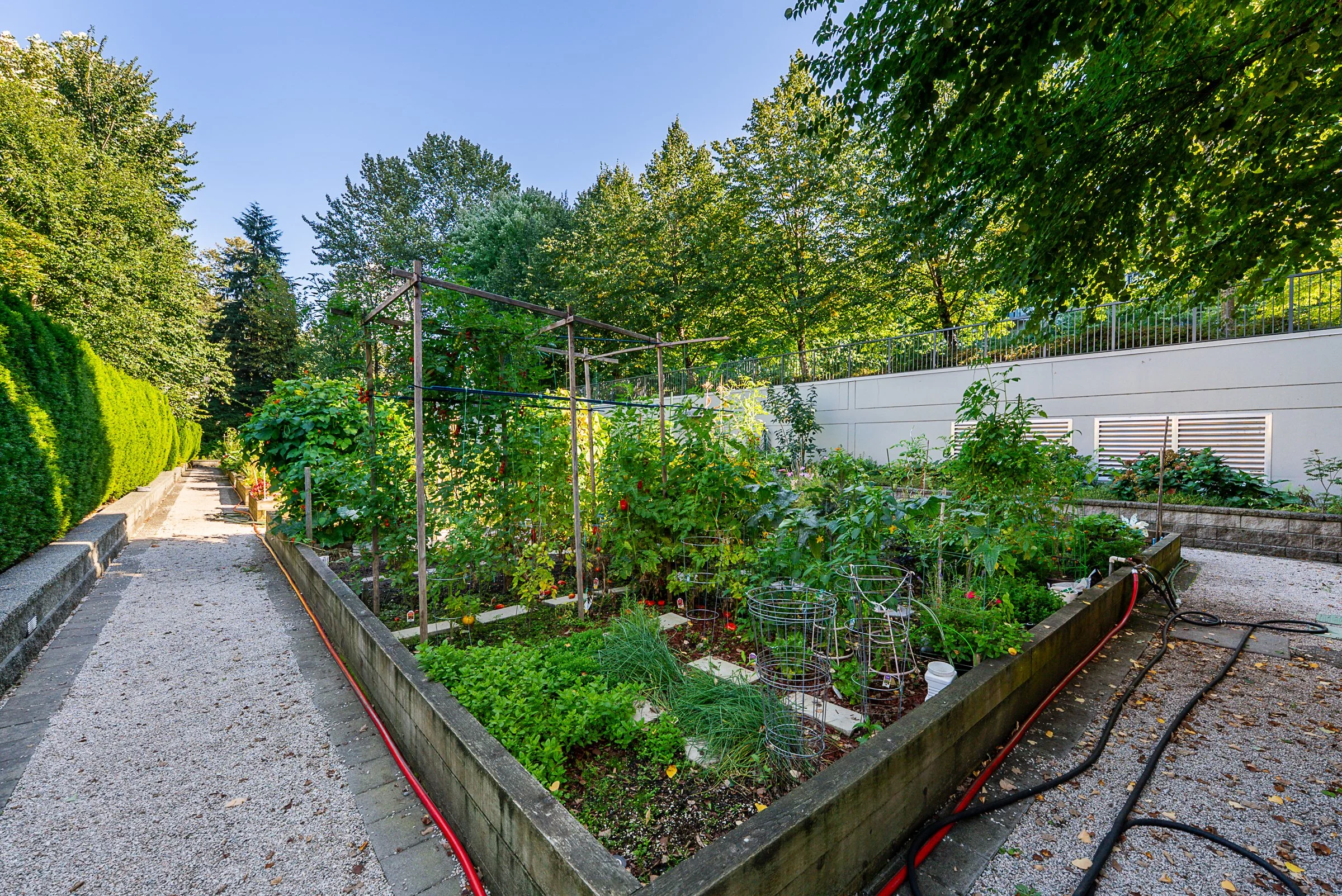 The-Lodge-at-Nahanni-315-701-Klahanie-Drive-Port-Moody-Carolyn-Pogue-Best-Port-Moody-Realtor-36.jpg