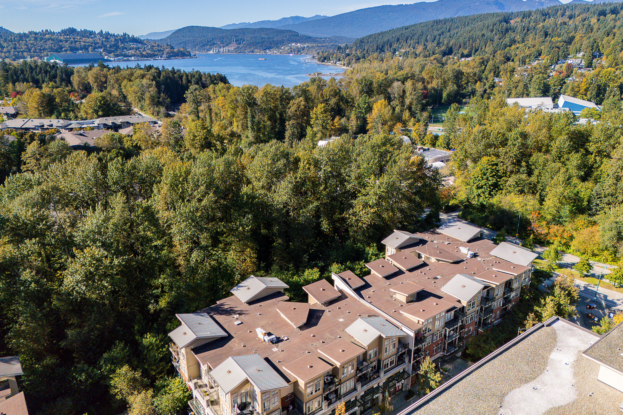 320-101-Morrissey-Road-Suter-Brook-Village-Port-Moody-Carolyn-Pogue-Best-Port-Moody-Realtor-23.png