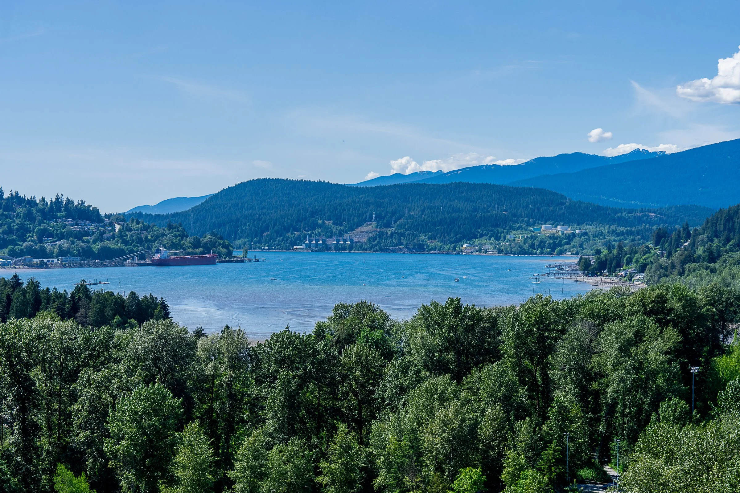 1908 110 Brew Street Suter Brook Village Port Moody Carolyn Pogue Best Port Moody Realtor