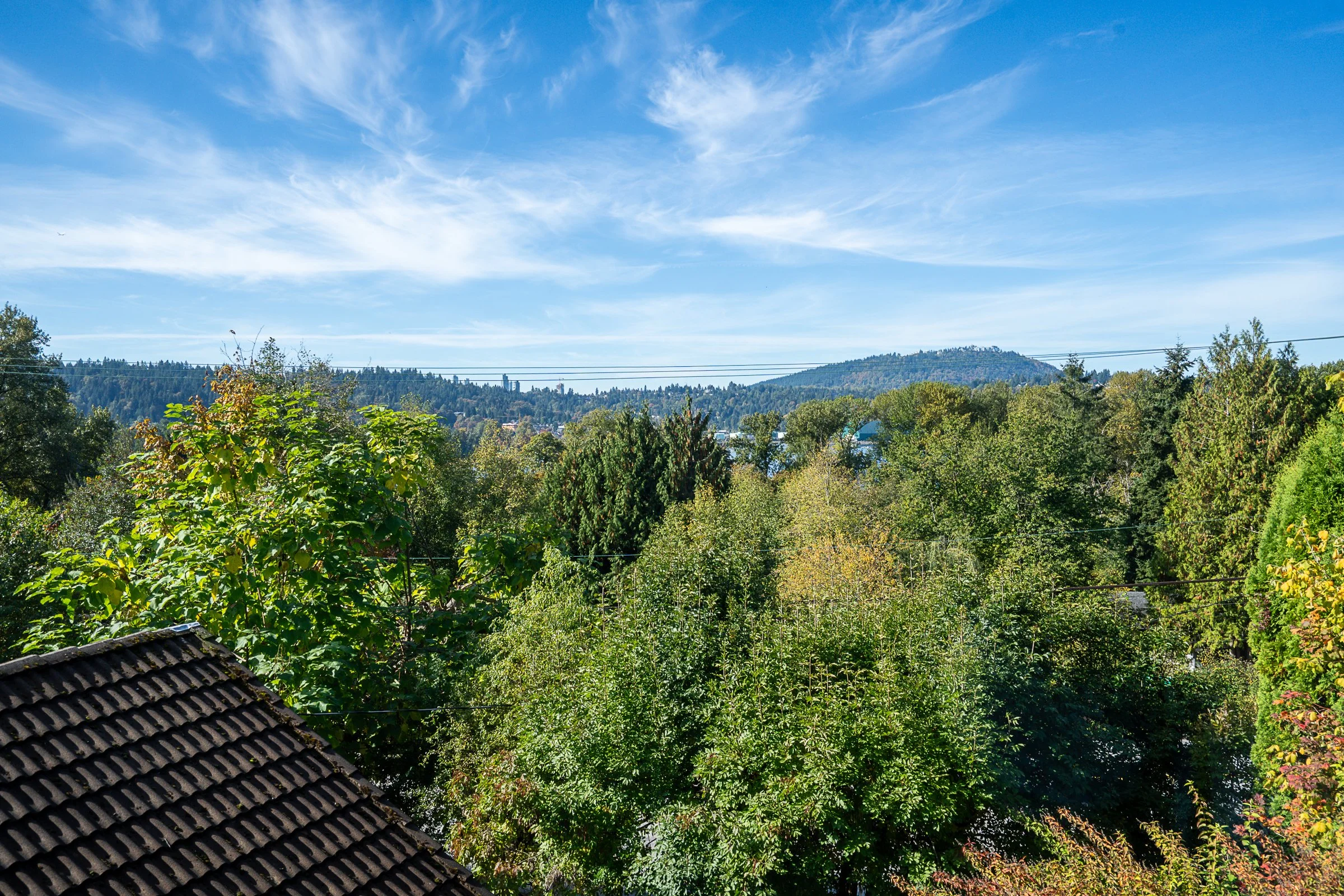389-Metta-Street-Port-Moody-Carolyn-Pogue-Best-Port-Moody-Realtor-18.jpg