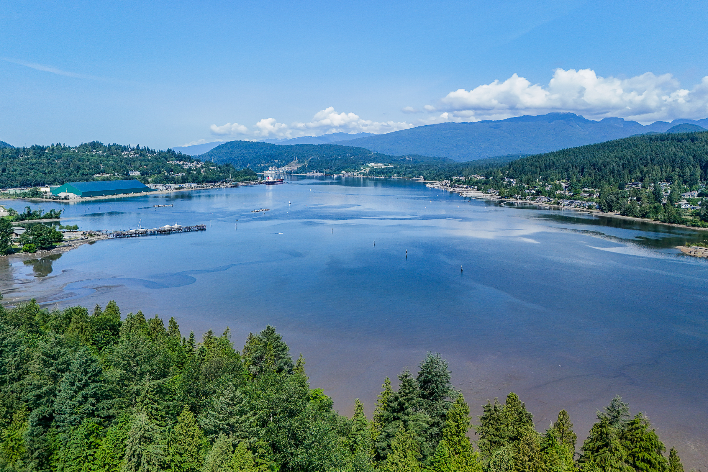 503-660-Nootka-Way-Klahanie-Port-Moody-Carolyn-Pogue-Best-Port-Moody-Realtor-36.png