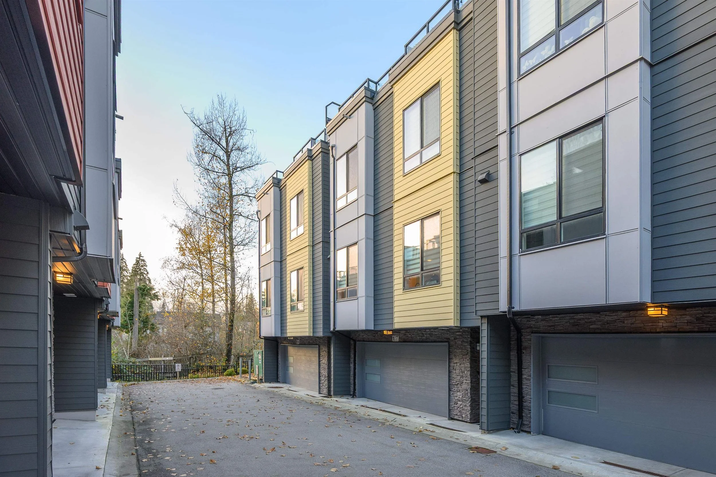 107 3503 Gislason Avenue Burke Mountain Coquitlam Carolyn Pogue Burke Mountain Realtor