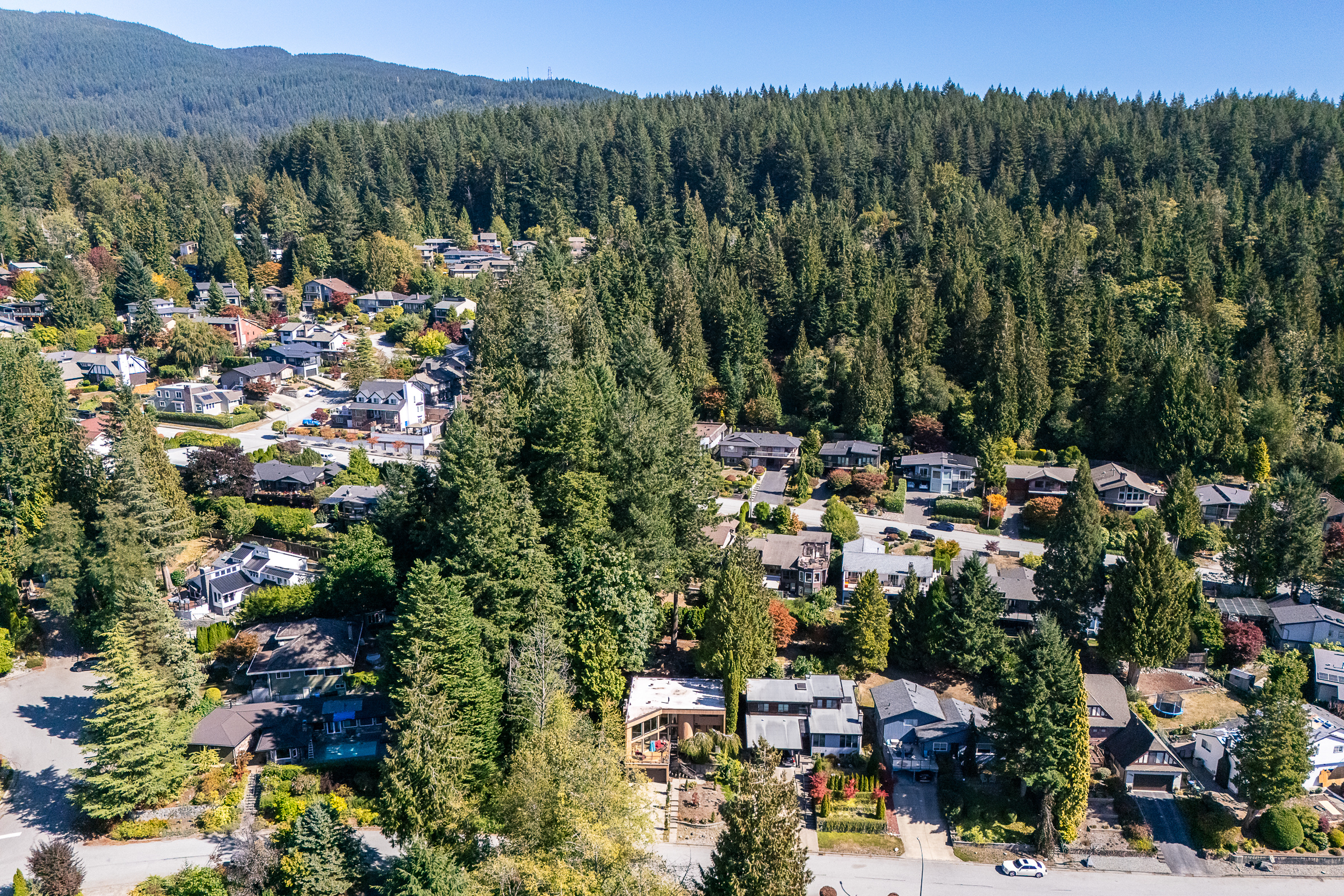 159-Roe-Drive-Port-Moody-Carolyn-Pogue-Best-Port-Moody-Realtor-37.png