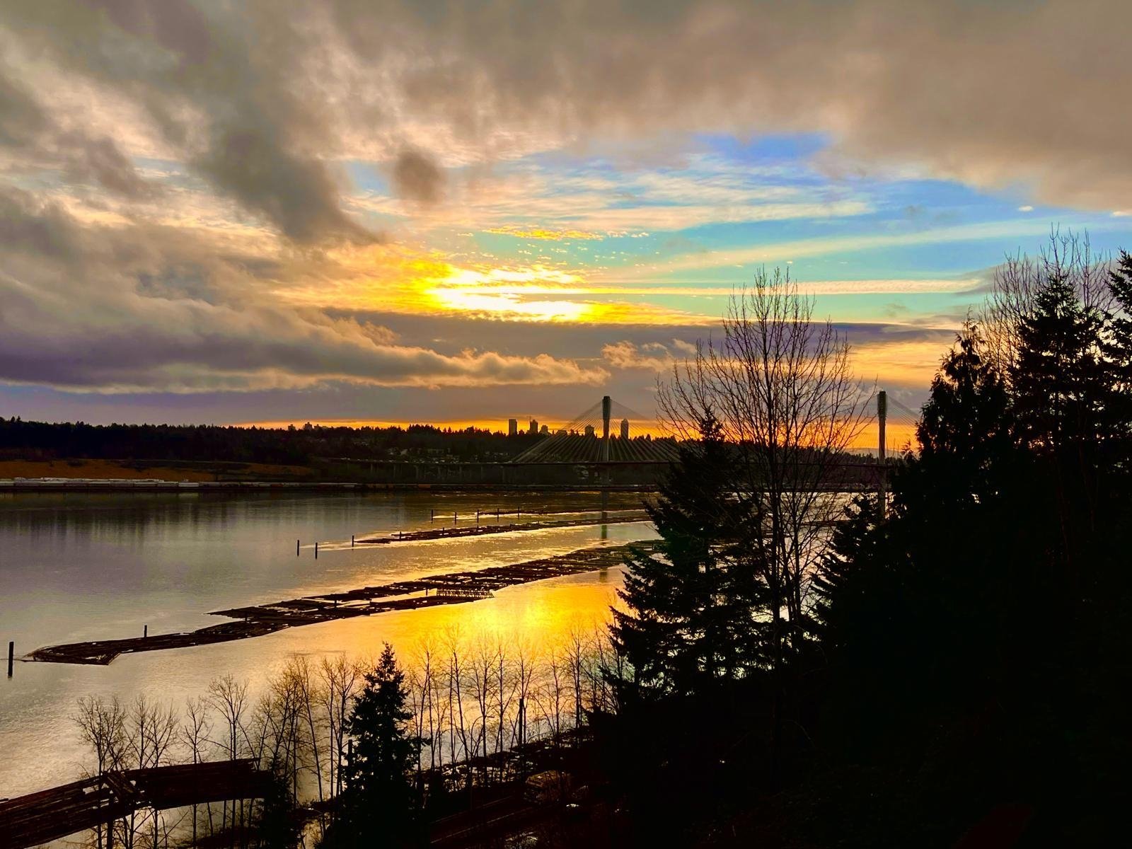 34 788 Citadel Drive Port Coquitlam Carolyn Pogue Port Coquitlam Realtor