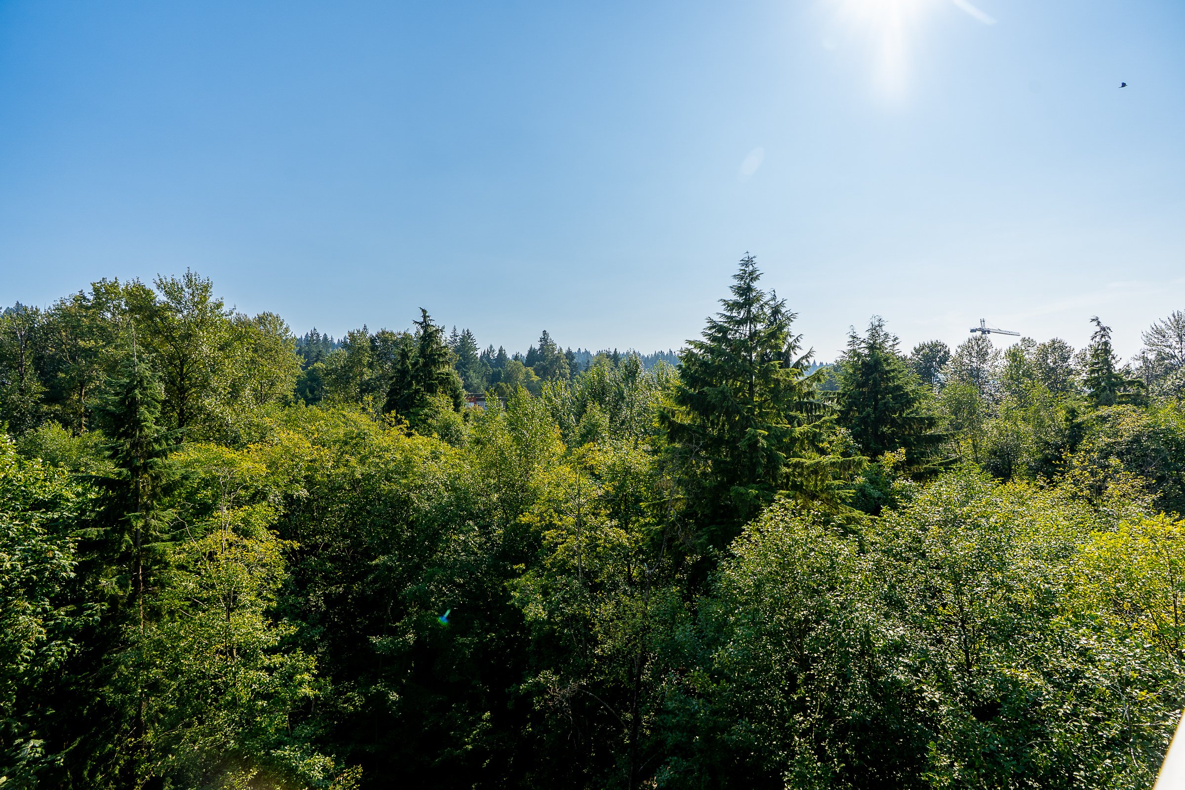 707-305-Morrissey-Road-The-Grande-Suter-Brook-Village-Port-Moody-Carolyn-Pogue-Best-Port-Moody-Realtor-16.jpg