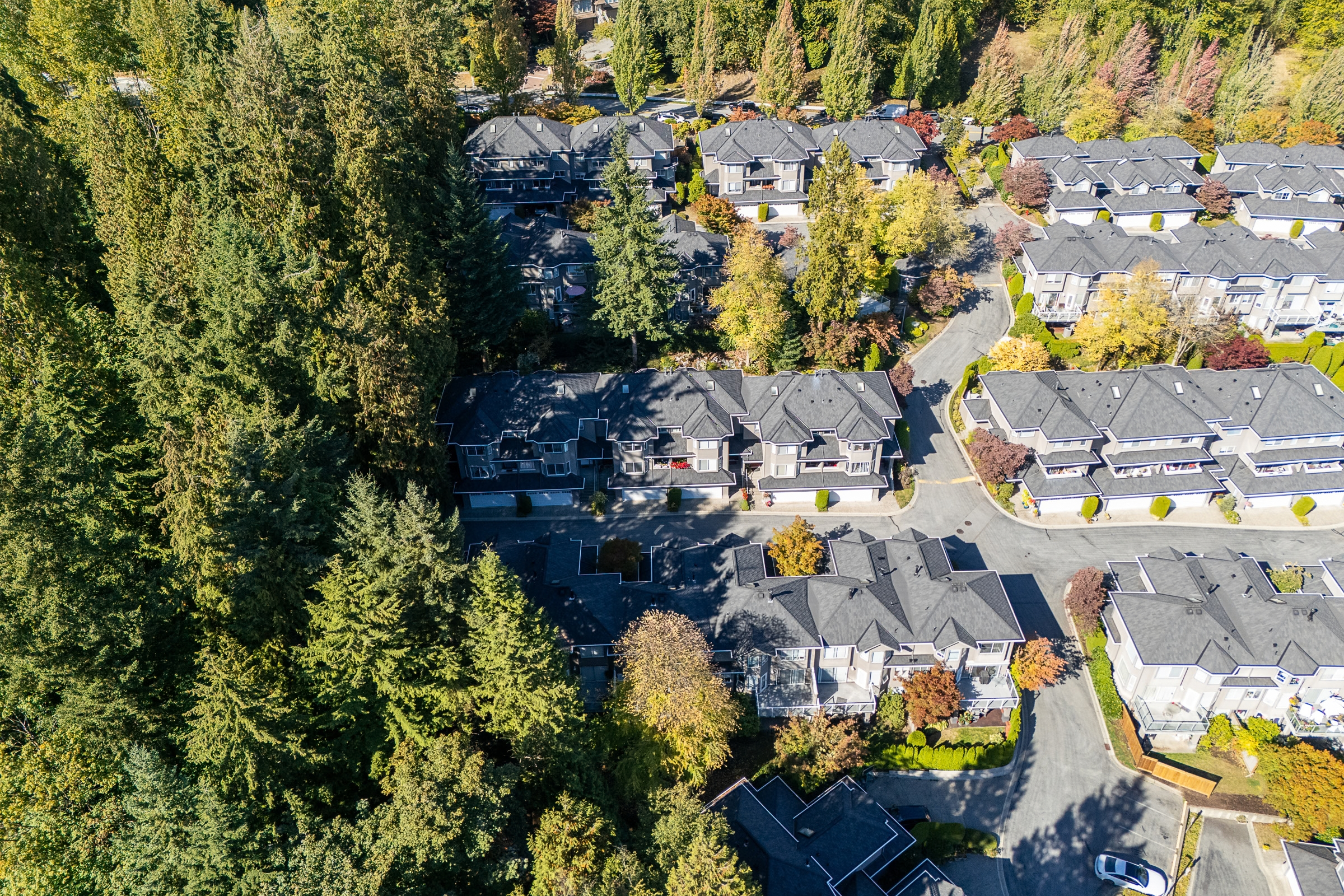 43-2990-Panorama-Drive-Westwood-Plateau-Coquitlam-Carolyn-Pogue-Best-Coquitlam-Realtor-30.png