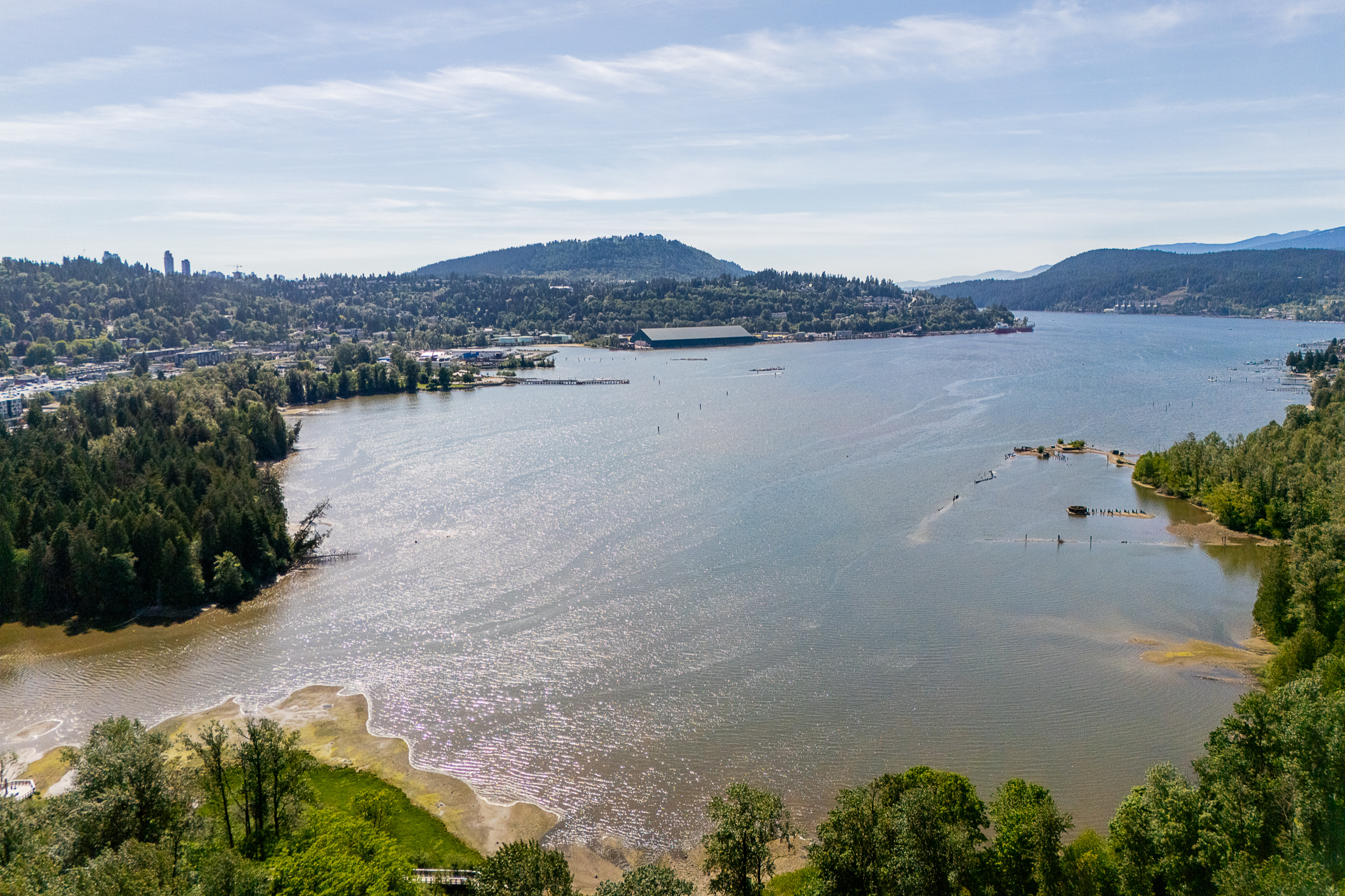 204-260-Newport-Drive-Port Moody-Carolyn-Pogue-Best-Port-Moody-Realtor-32.png