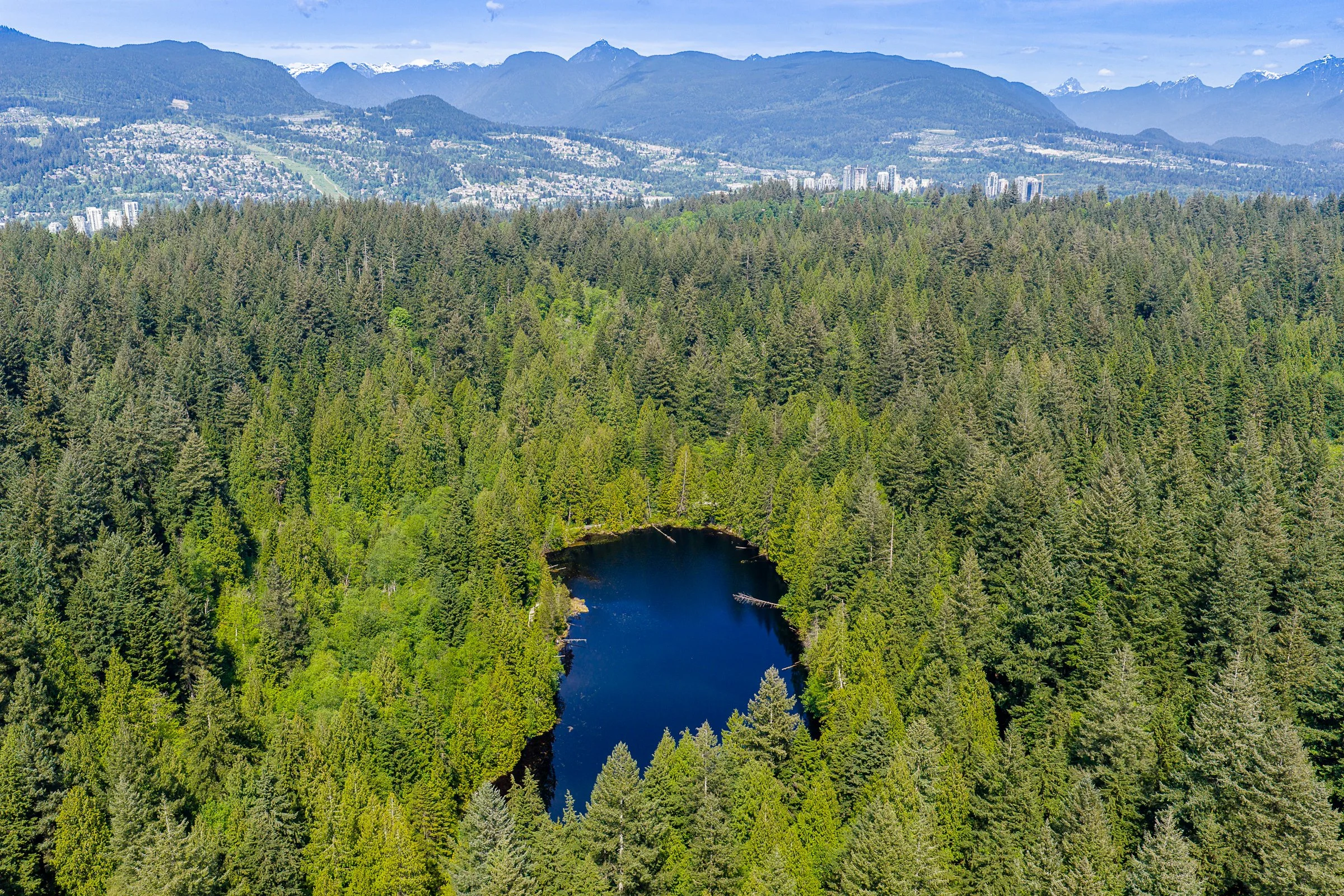 612-Hillcrest-Street-Coquitlam-Carolyn-Pogue-Best-Coquitlam-Realtor-37.jpg