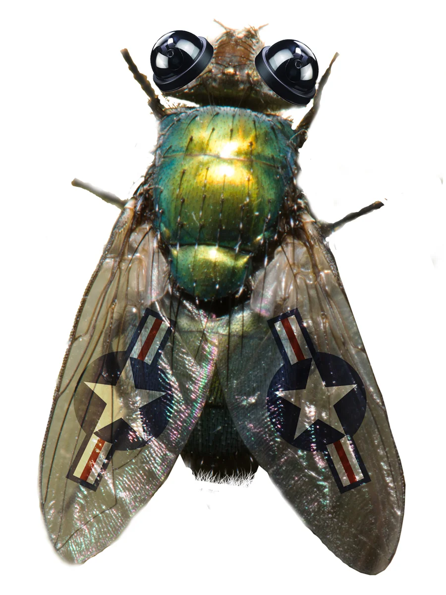 fly clear.jpg