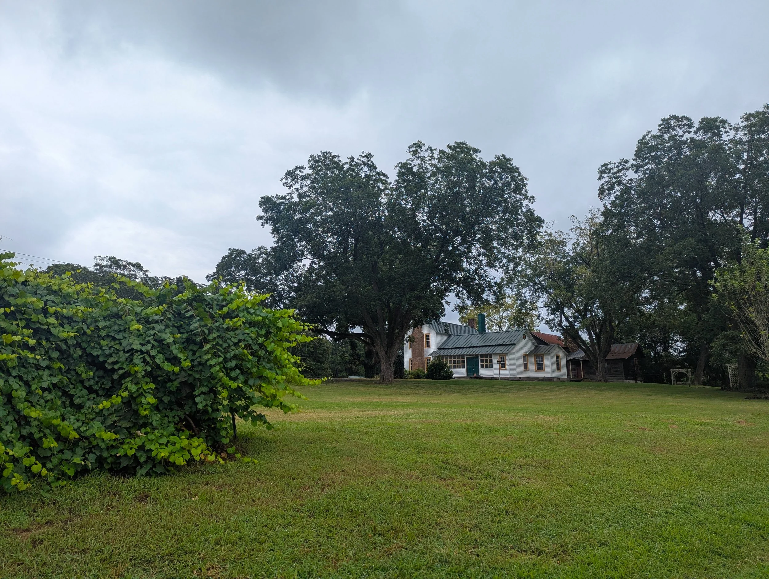 PXL_20250802_180656046.jpg
